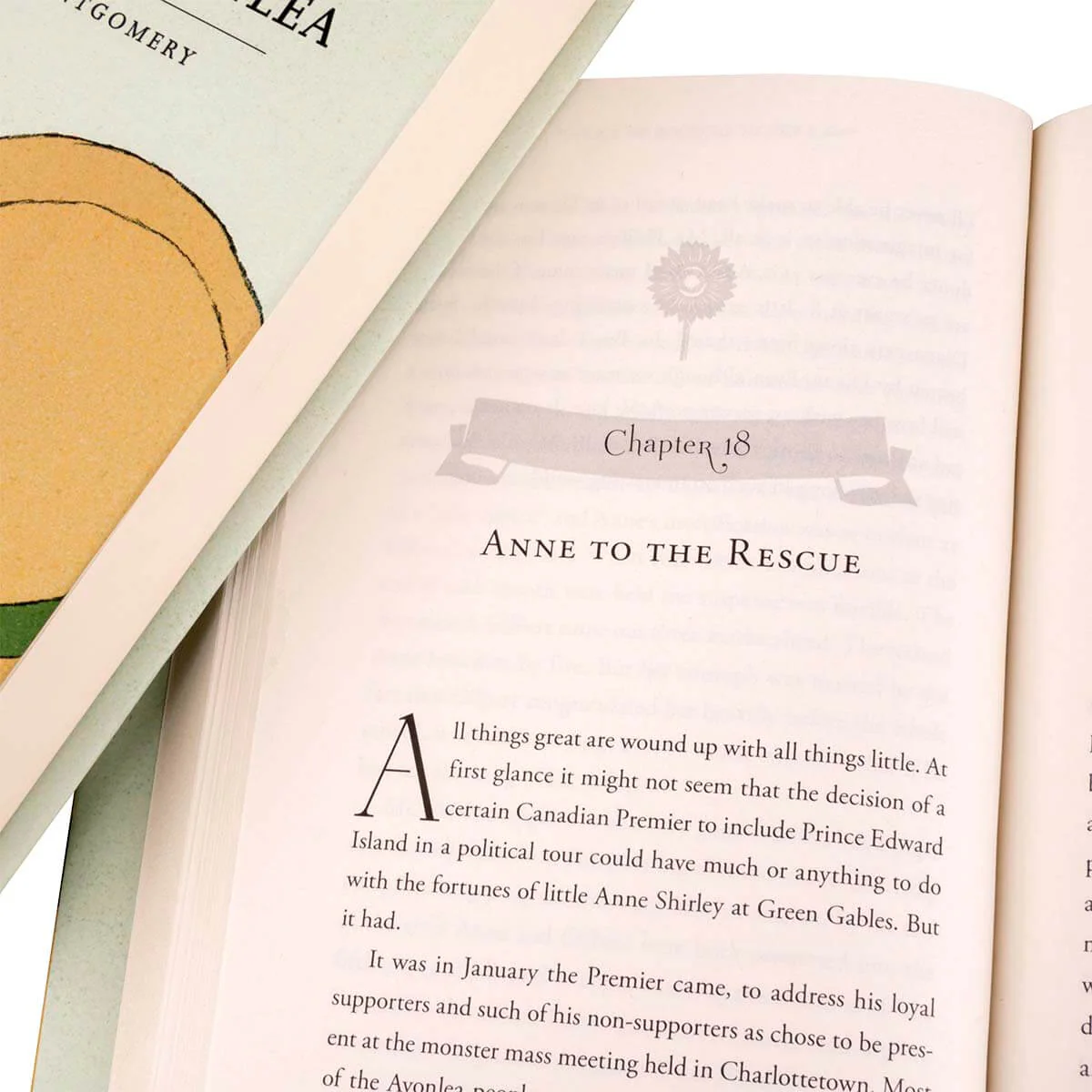 Anne of Green Gables Book Set - Image 4