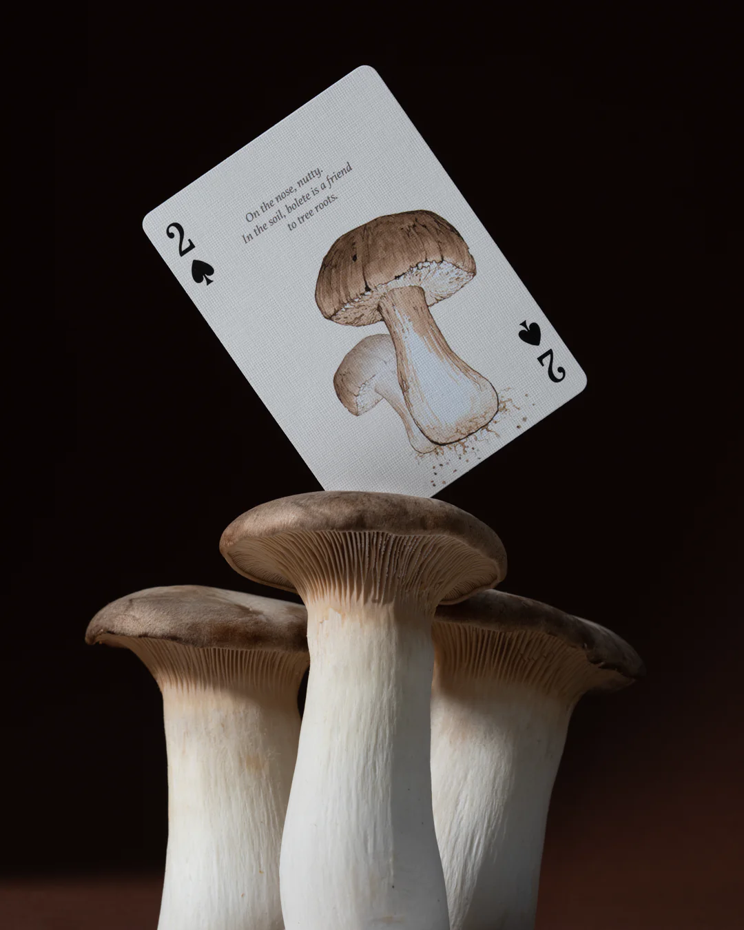 Art of Play Eastern Forest Playing Cards - Image 4