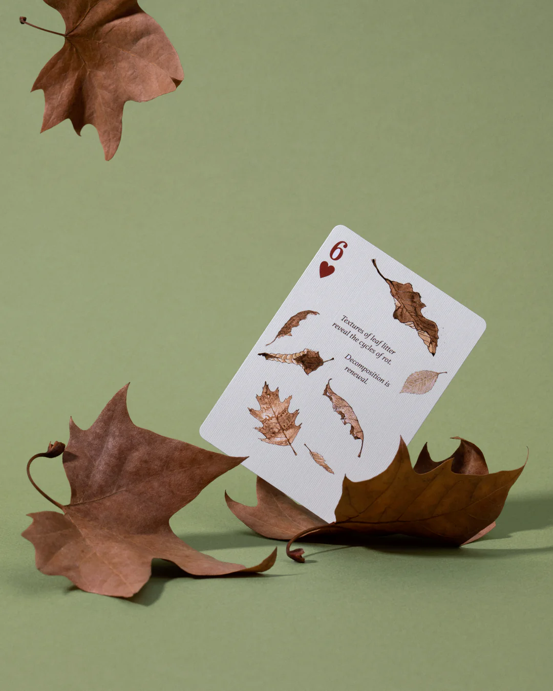 Art of Play Eastern Forest Playing Cards - Image 5