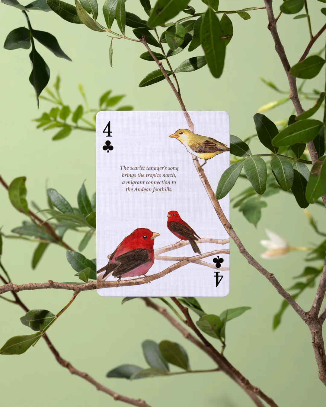 Art of Play Eastern Forest Playing Cards - Image 7