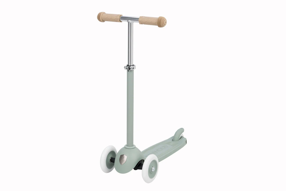 Banwood Eco-Scooter - Image 34
