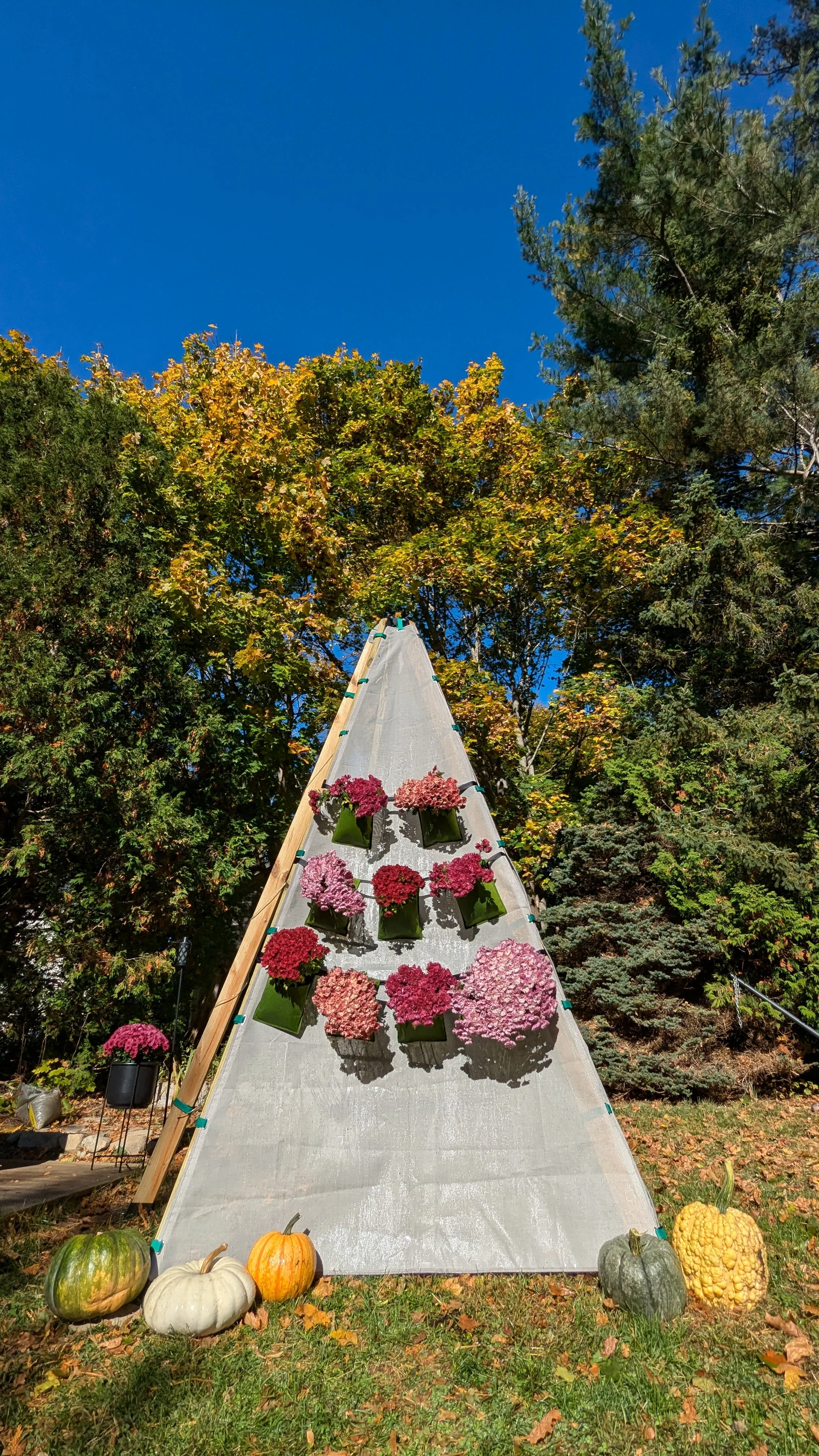 Bijou Bloom Hanging Planters - Image 7