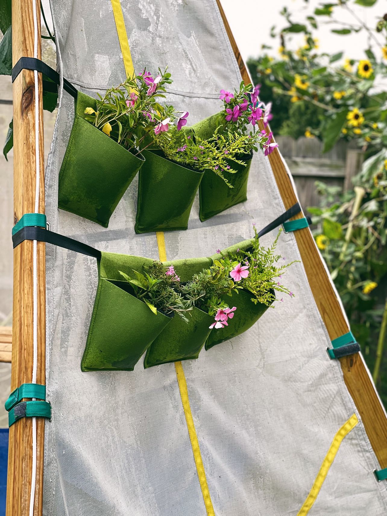 Bijou Bloom Hanging Planters - Image 8