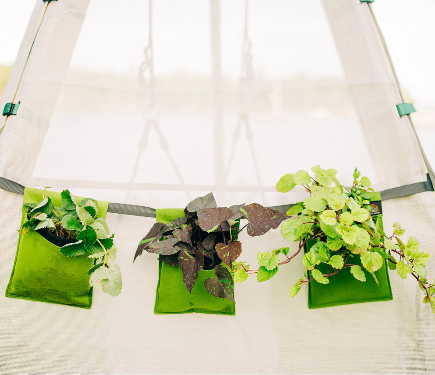Bijou Bloom Hanging Planters - Image 9