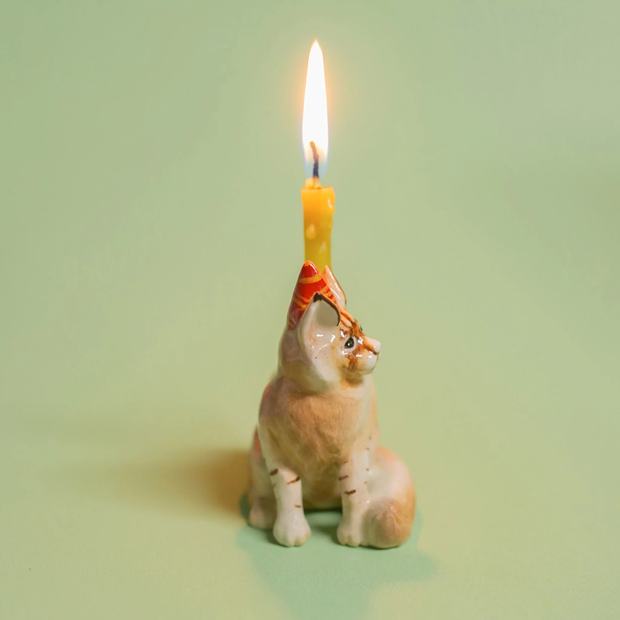 Camp Hollow Maine Coon Cat Cake Topper - Image 3