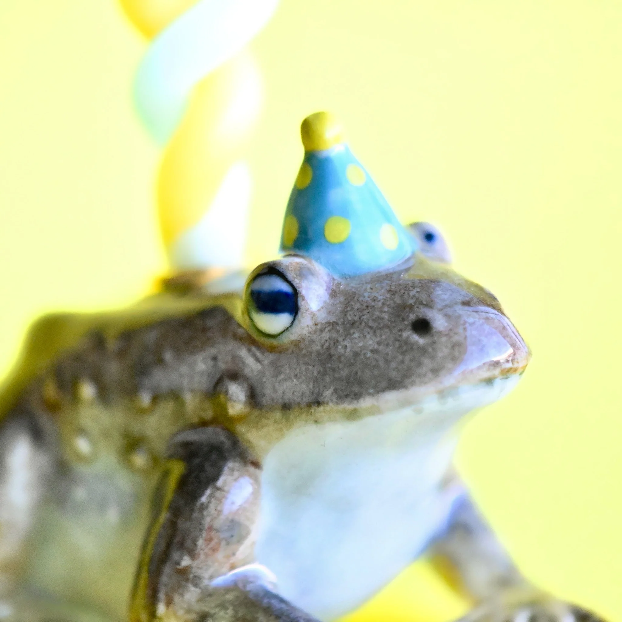 Camp Hollow Toad Cake Topper - Image 4