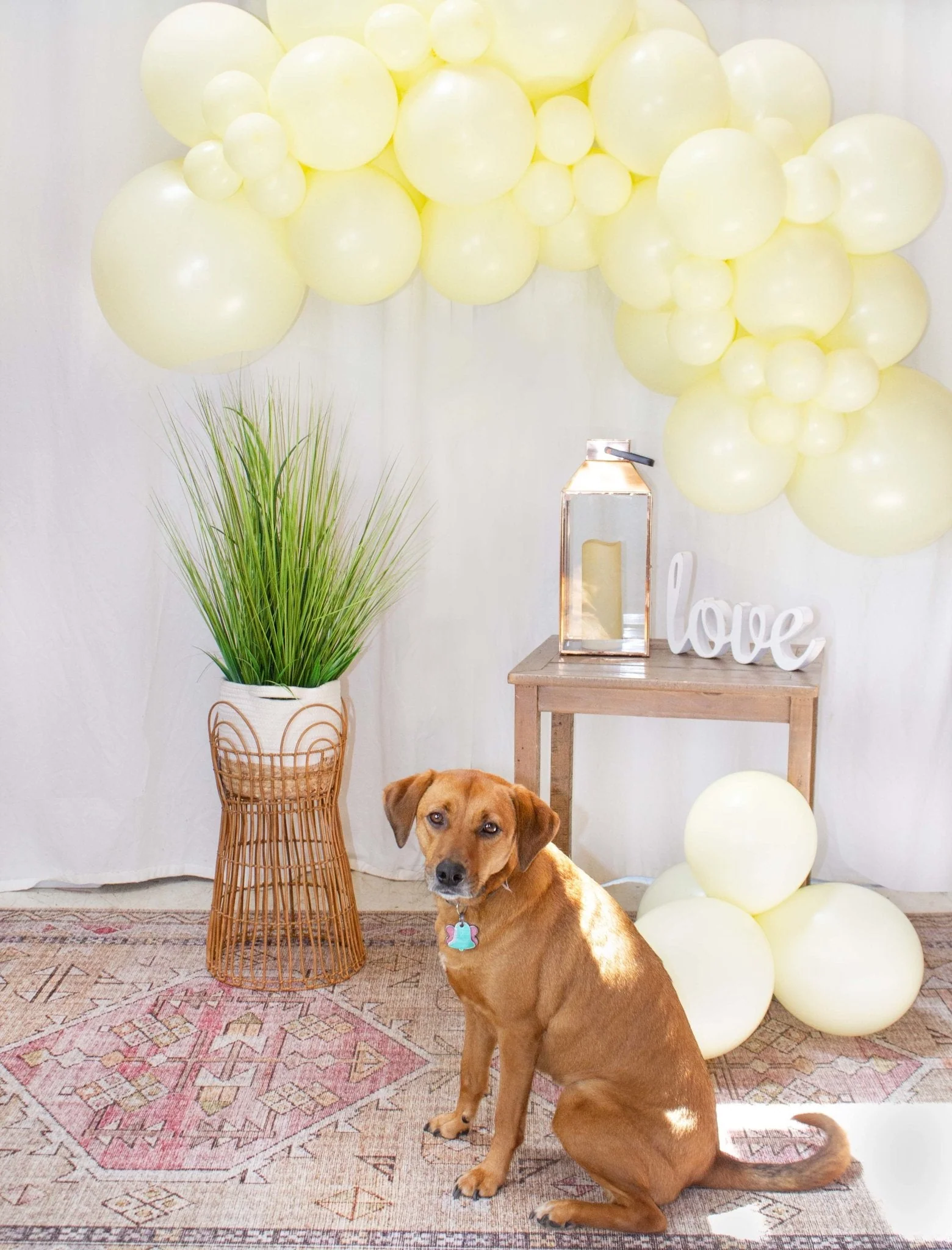 Ellie's Party Supply Yellow Balloon Garland - Image 3