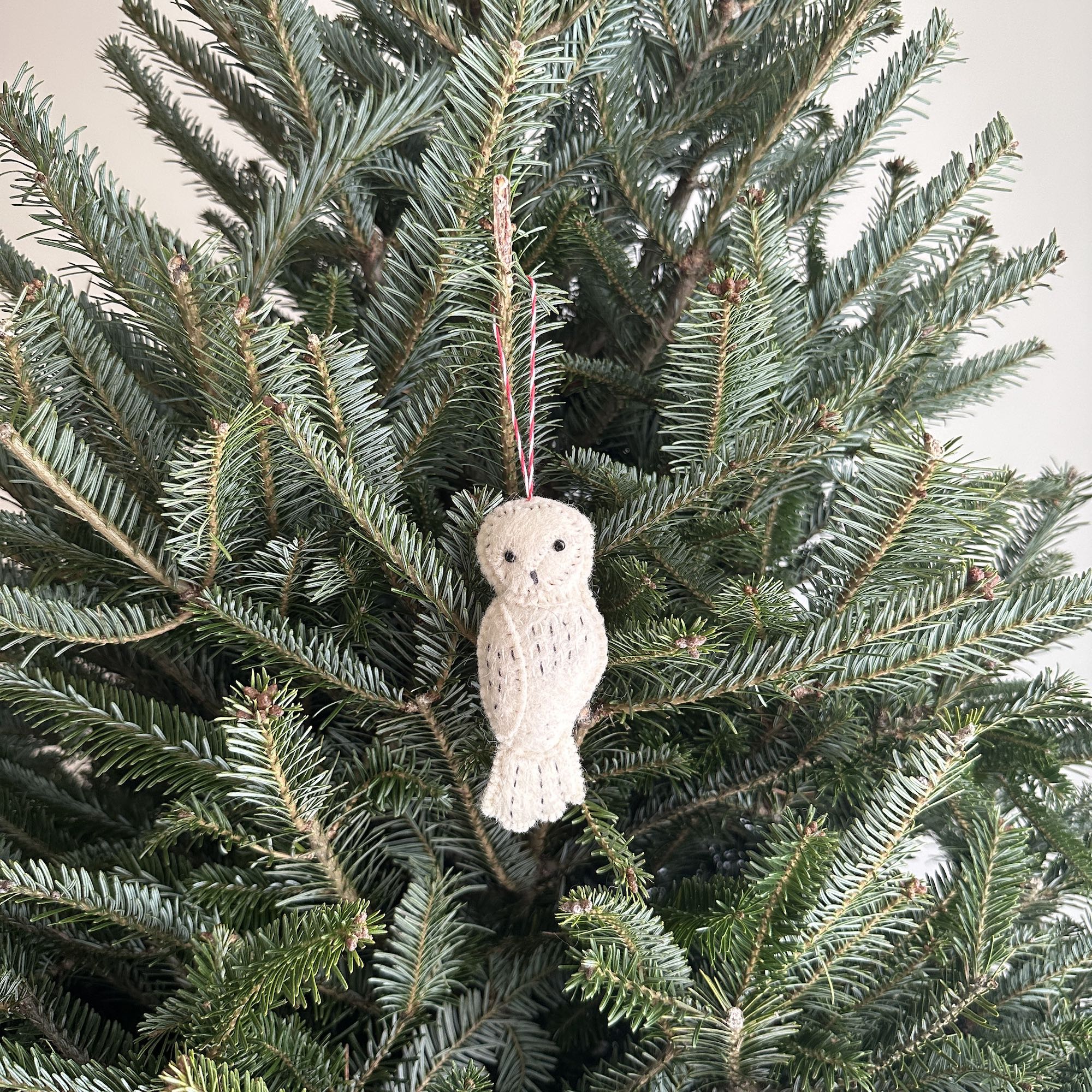Ganapati Crafts Co. Felt Ornament - Owl Family - Image 3