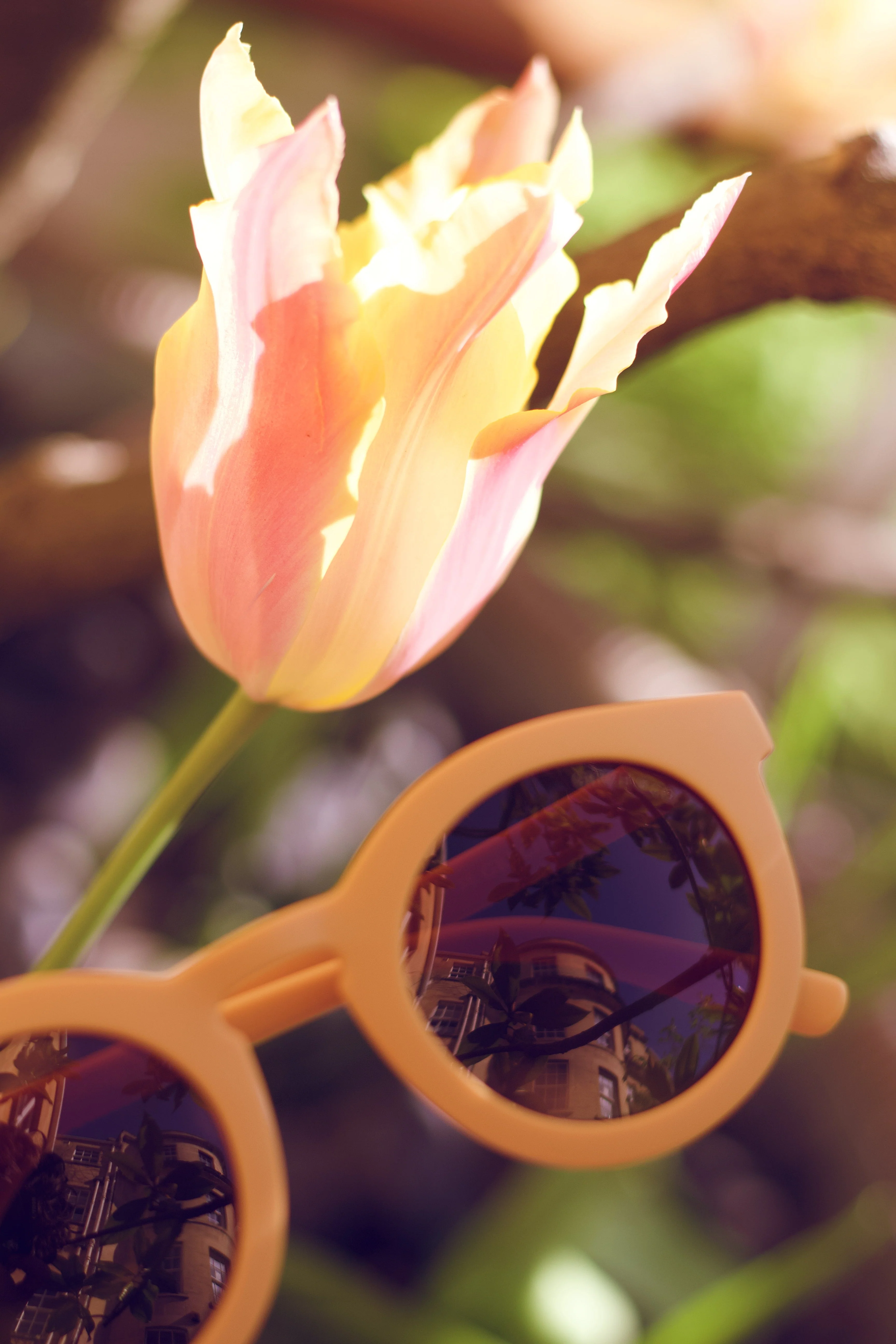 GRECH & CO.Classic | Sustainable Sunglasses | Plant-Based Bendable Polarized - Child | 3-8 Y - Image 12