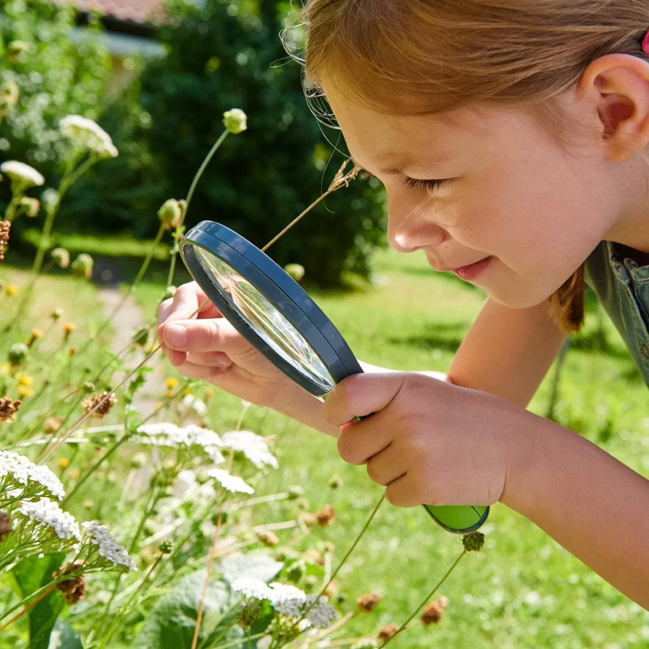 HABA Terra Kids Magnifier - Image 4