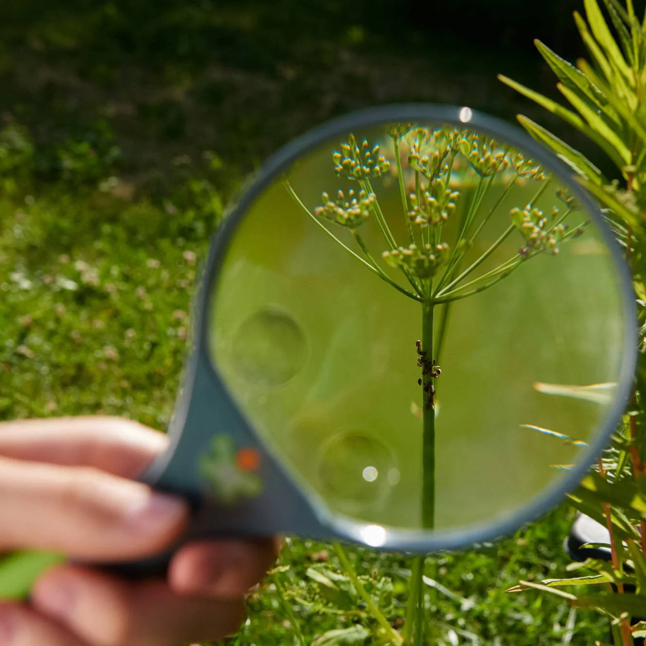 HABA Terra Kids Magnifier - Image 9