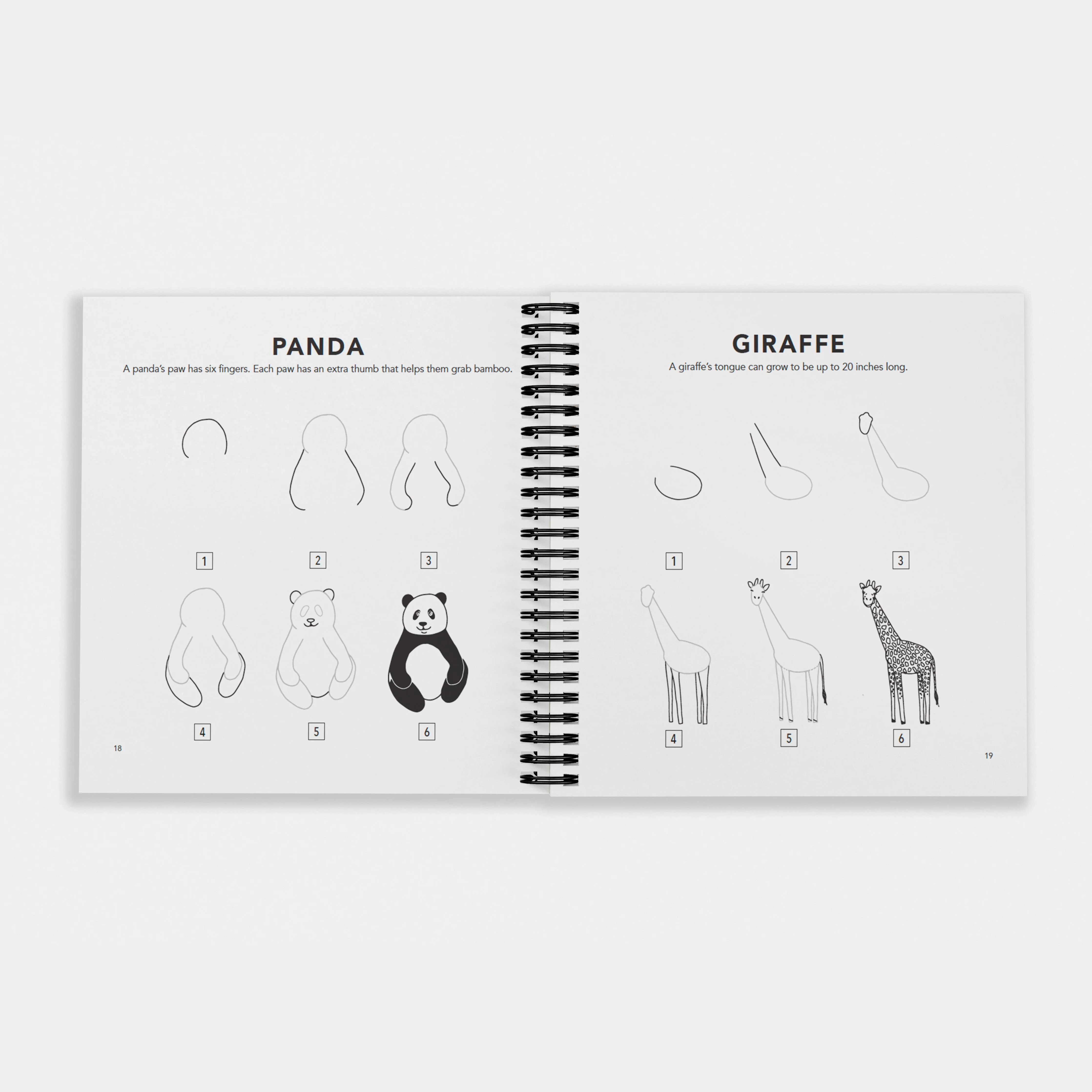 How to Draw All the Animals (Spiral) - Image 3