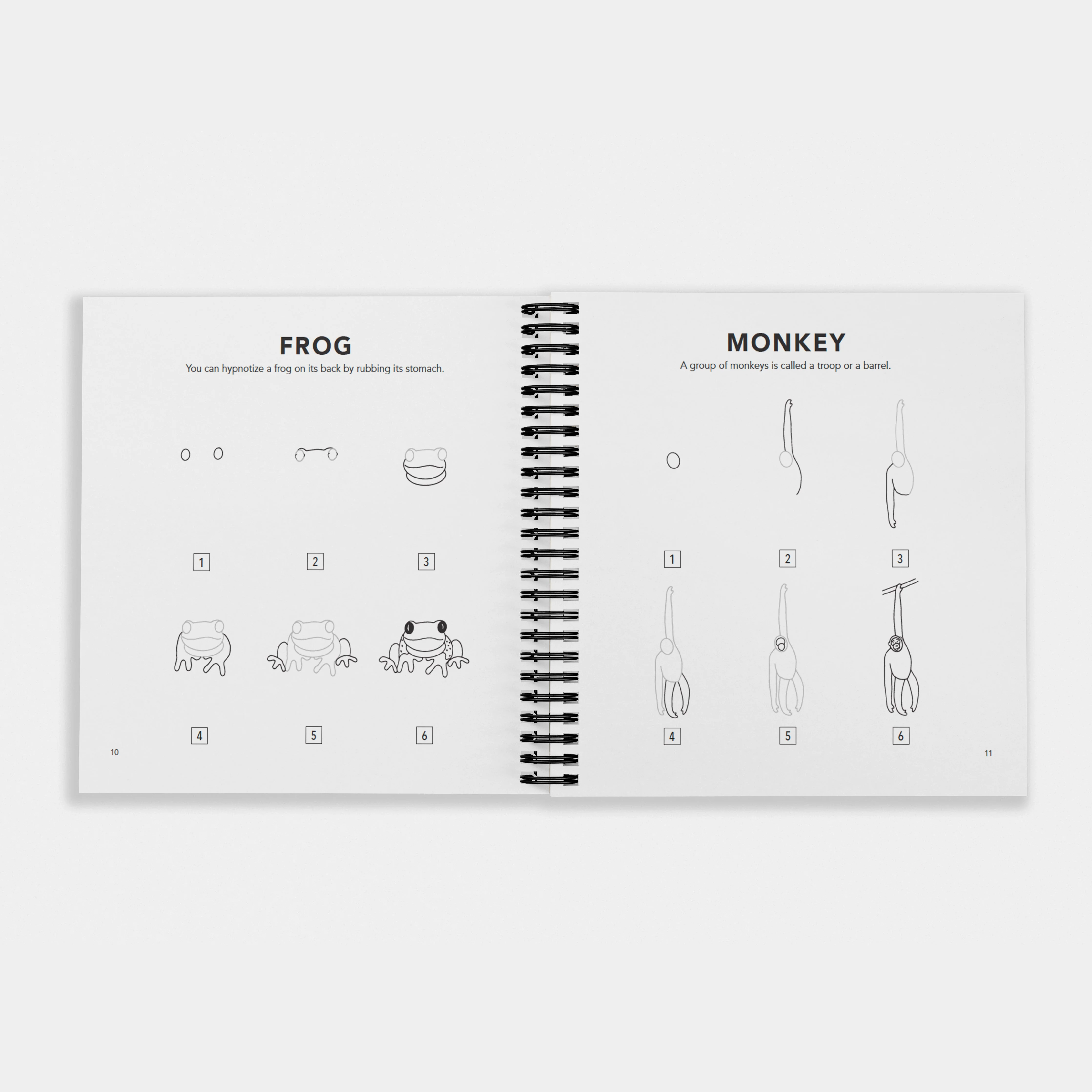 How to Draw All the Animals (Spiral) - Image 4