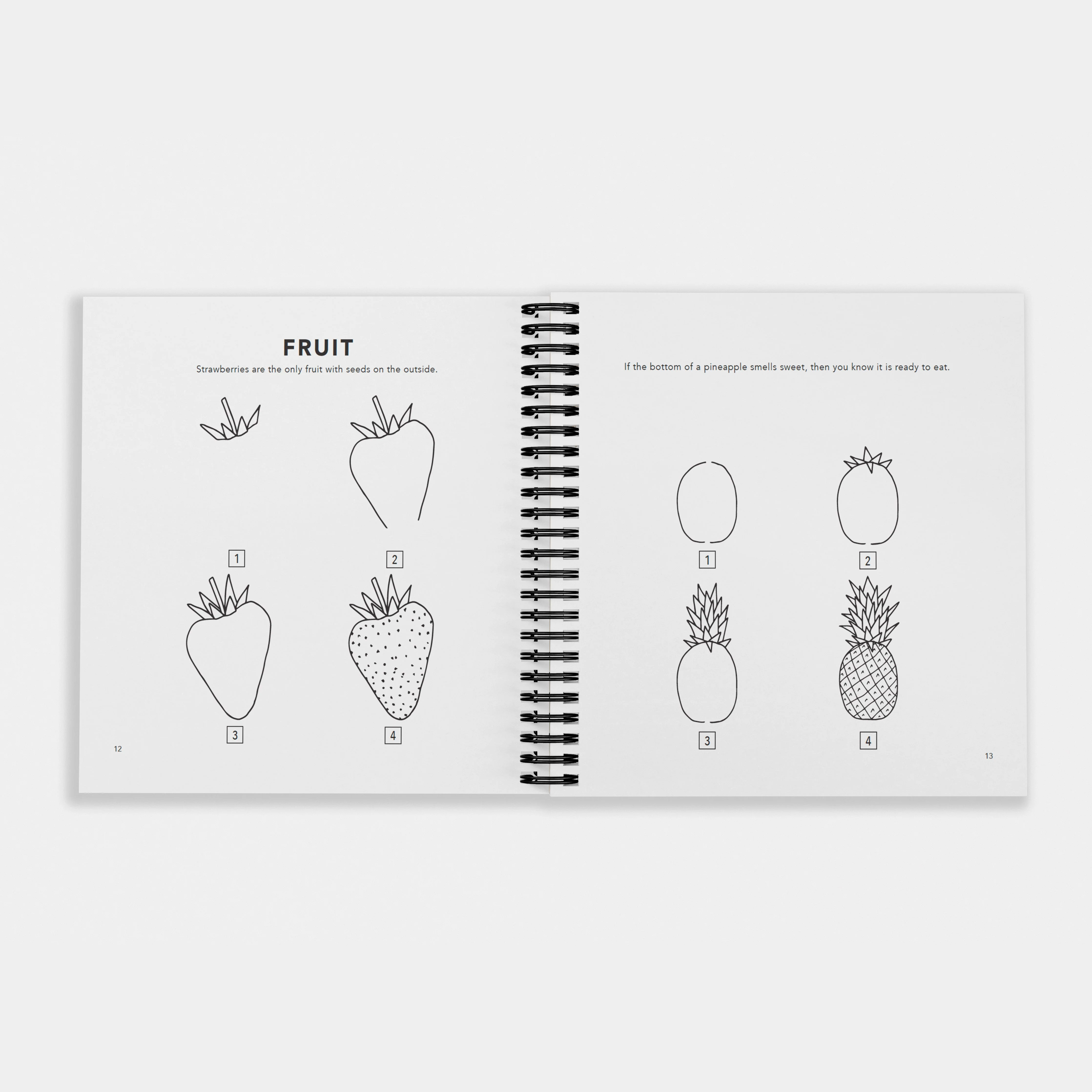 How to Draw All the Things (Spiral) - Image 4