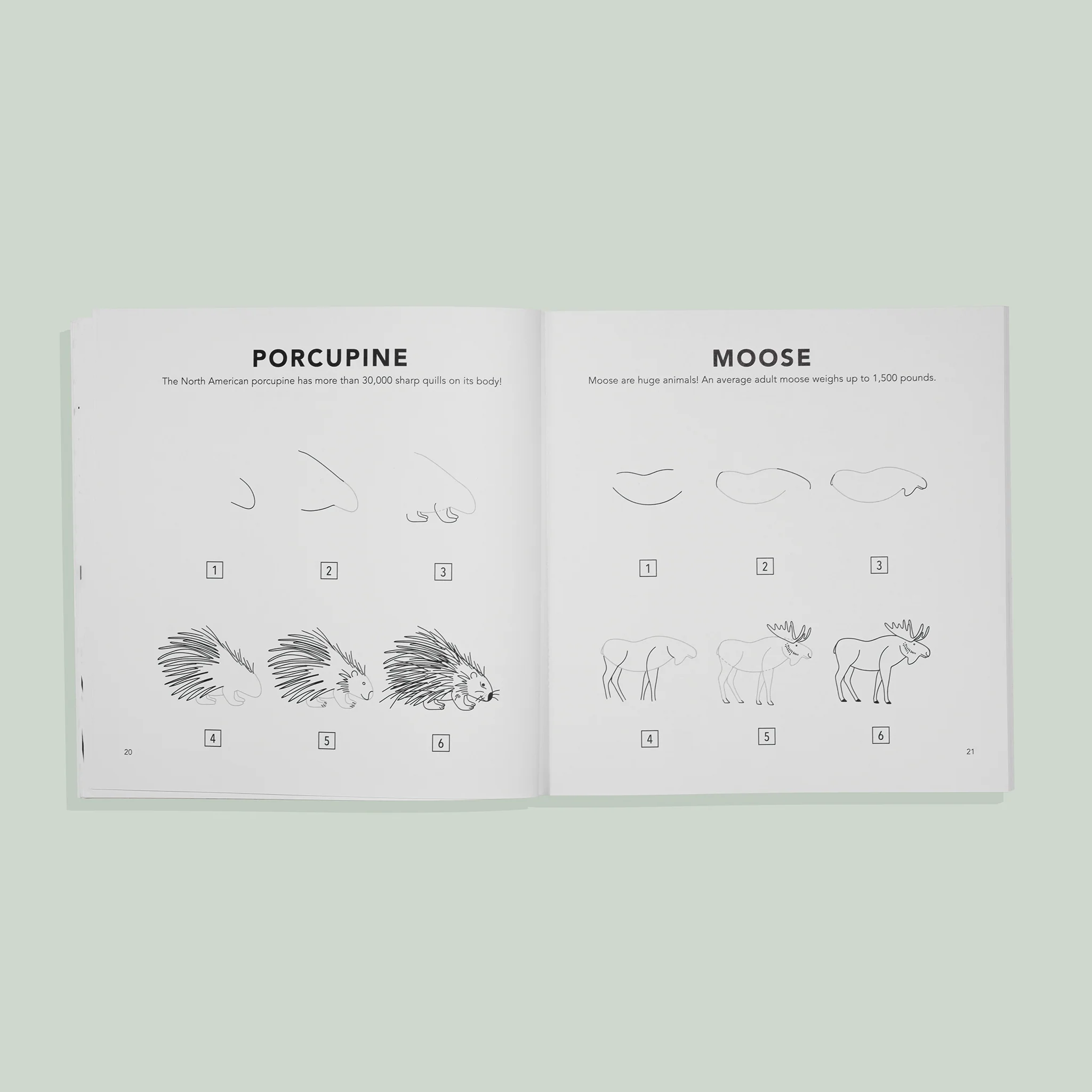 How to Draw for Kids: Mushrooms & Woodland Creatures for Kids - Image 3