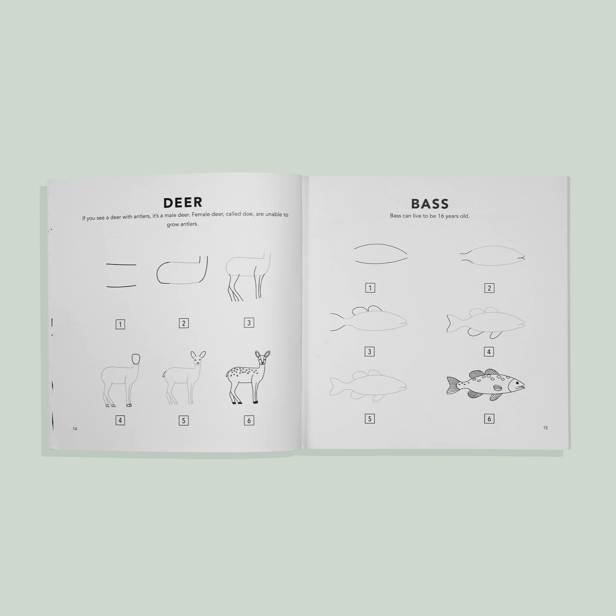 How to Draw for Kids: Mushrooms & Woodland Creatures for Kids - Image 4
