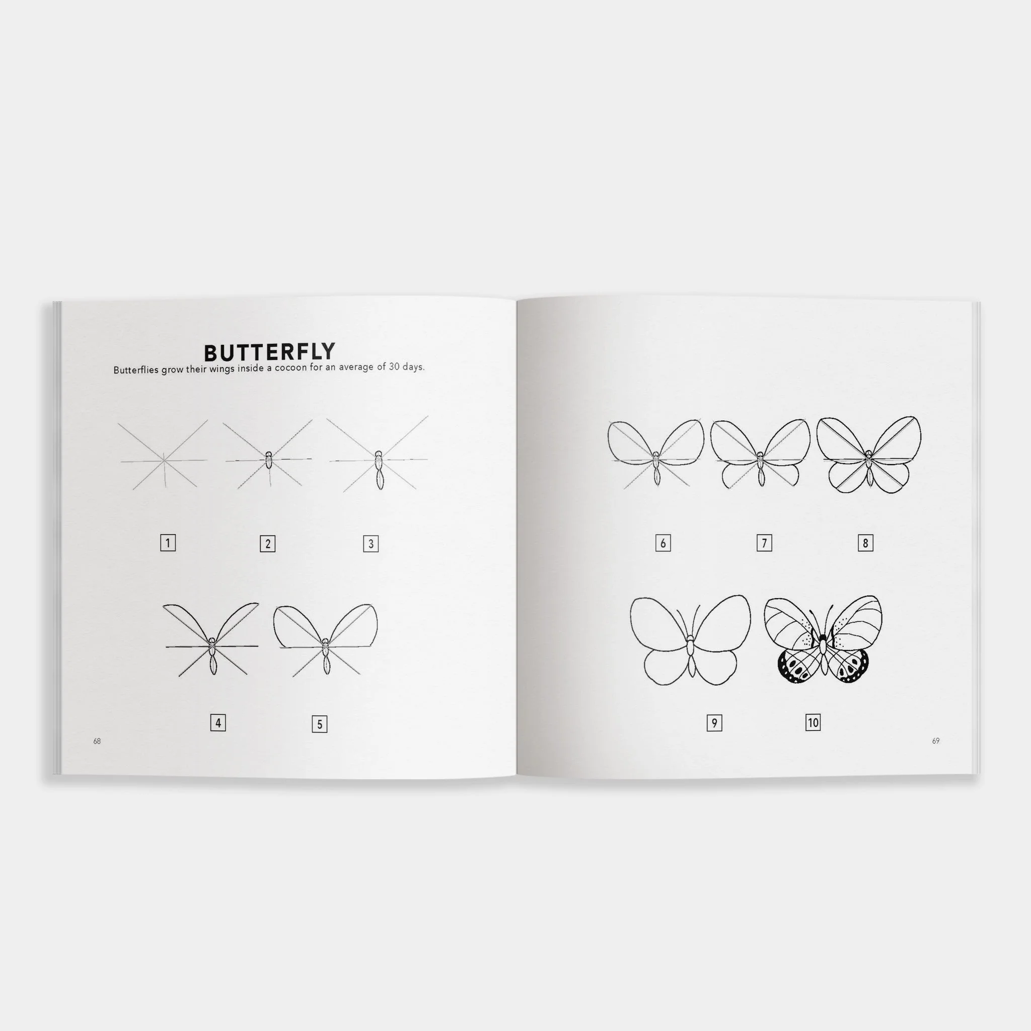 How to Draw Spring Things for Kids - Image 3