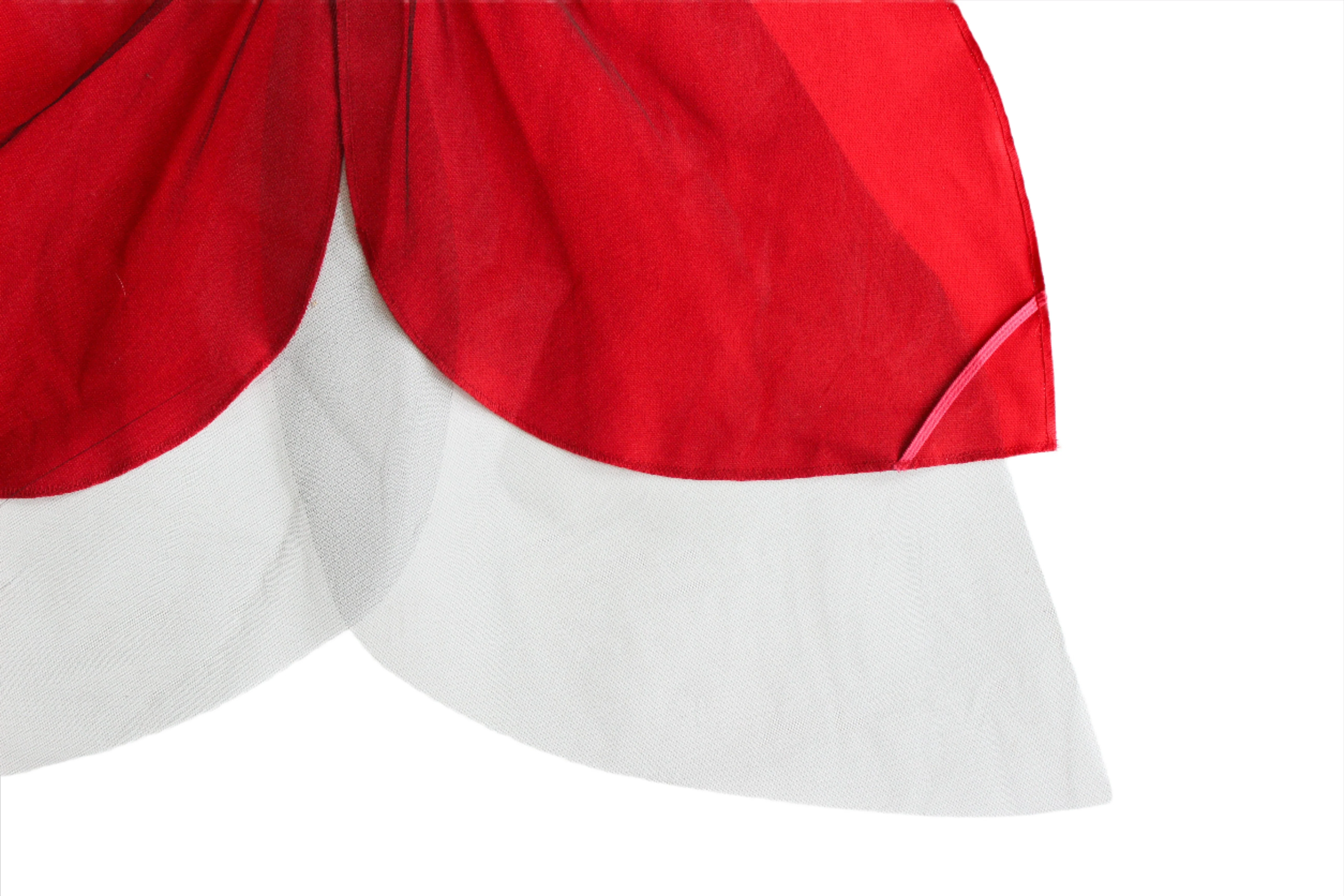 Jack Be Nimble Ladybug Wings Costume - Image 10