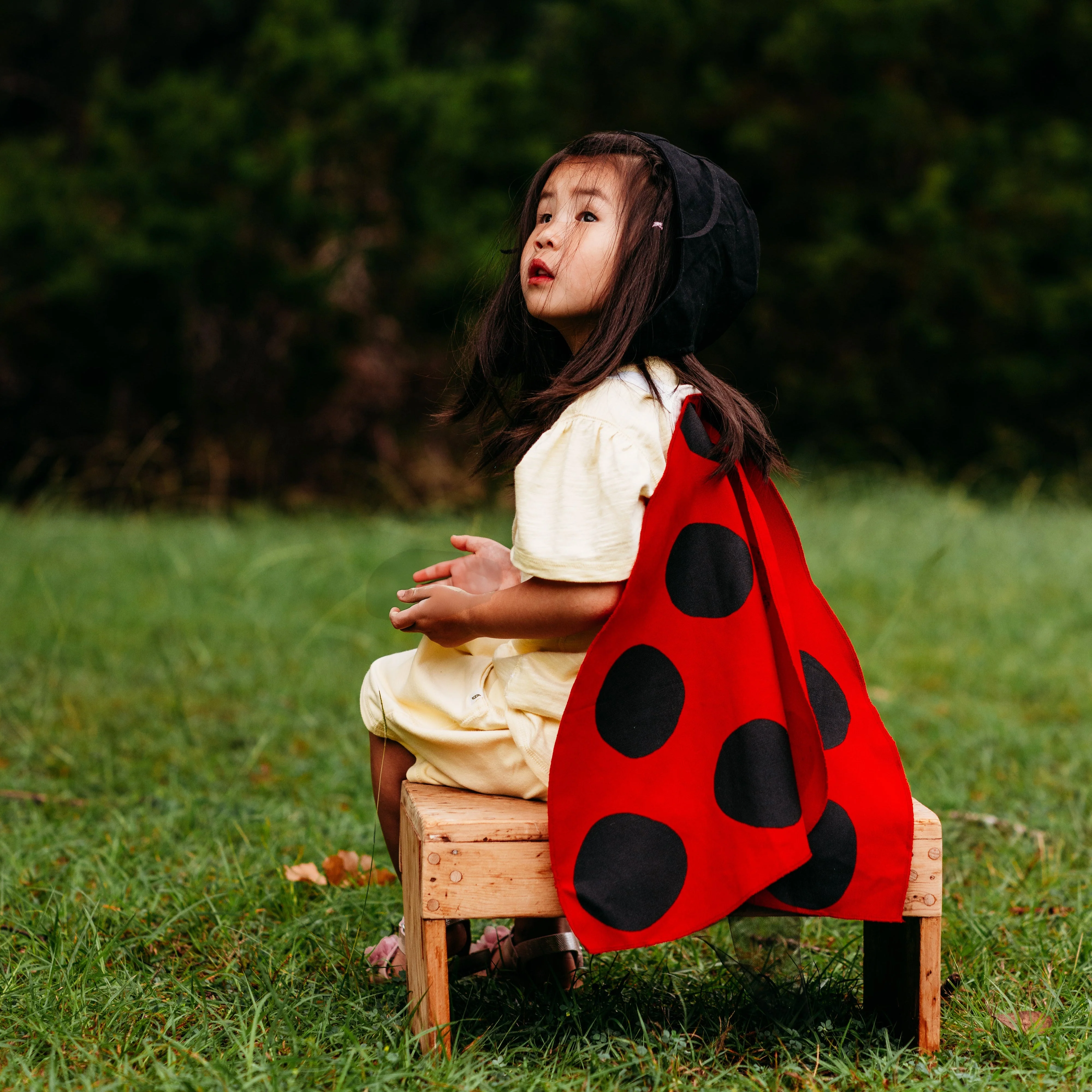 Jack Be Nimble Ladybug Wings Costume - Image 3