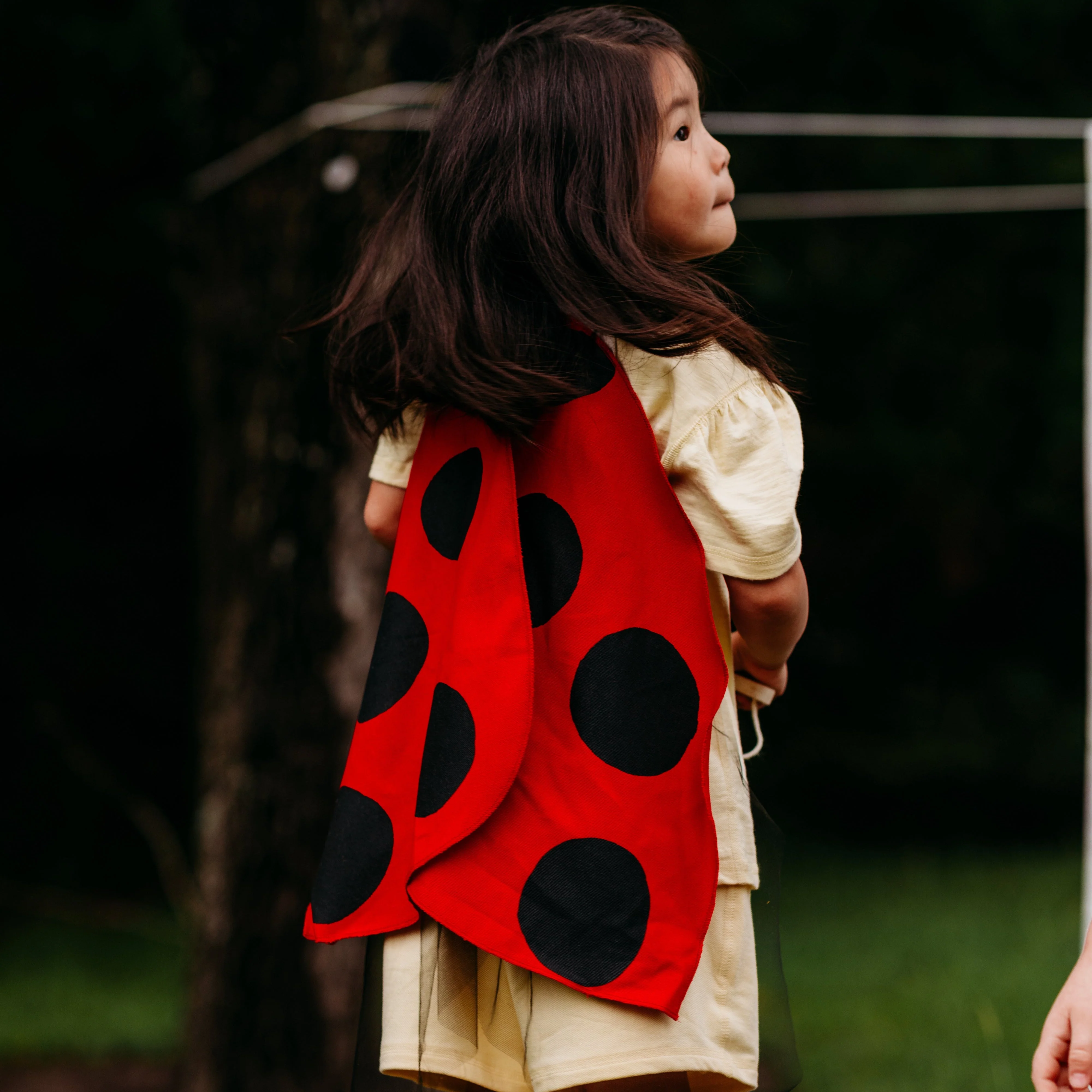 Jack Be Nimble Ladybug Wings Costume - Image 4