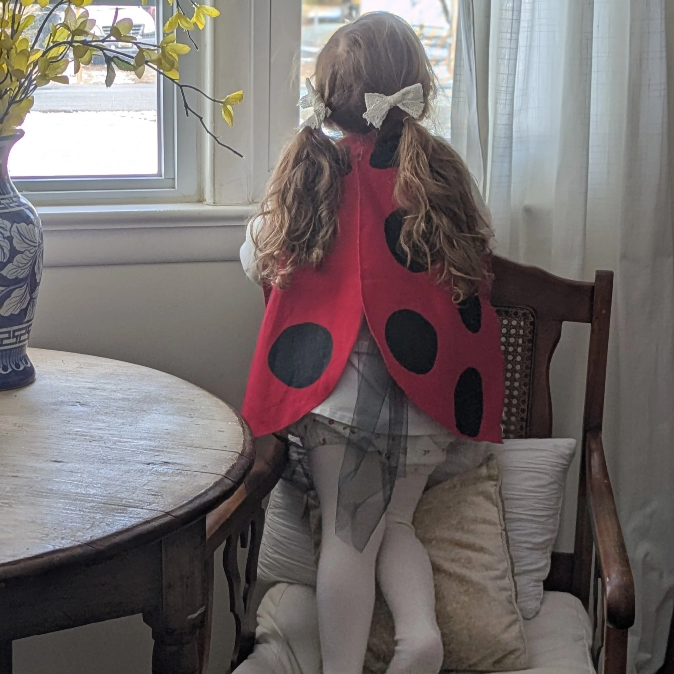 Jack Be Nimble Ladybug Wings Costume - Image 9