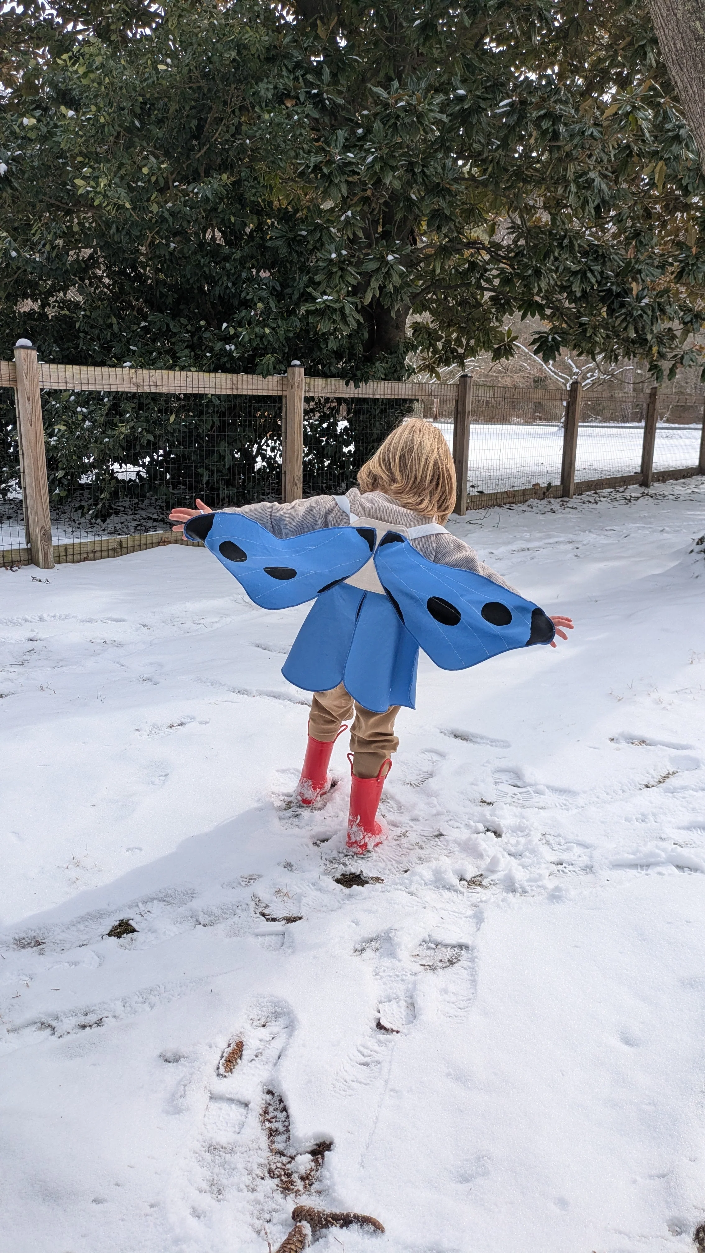Jack Be Nimble Spotted Blue Butterfly Wings Costume - Image 4