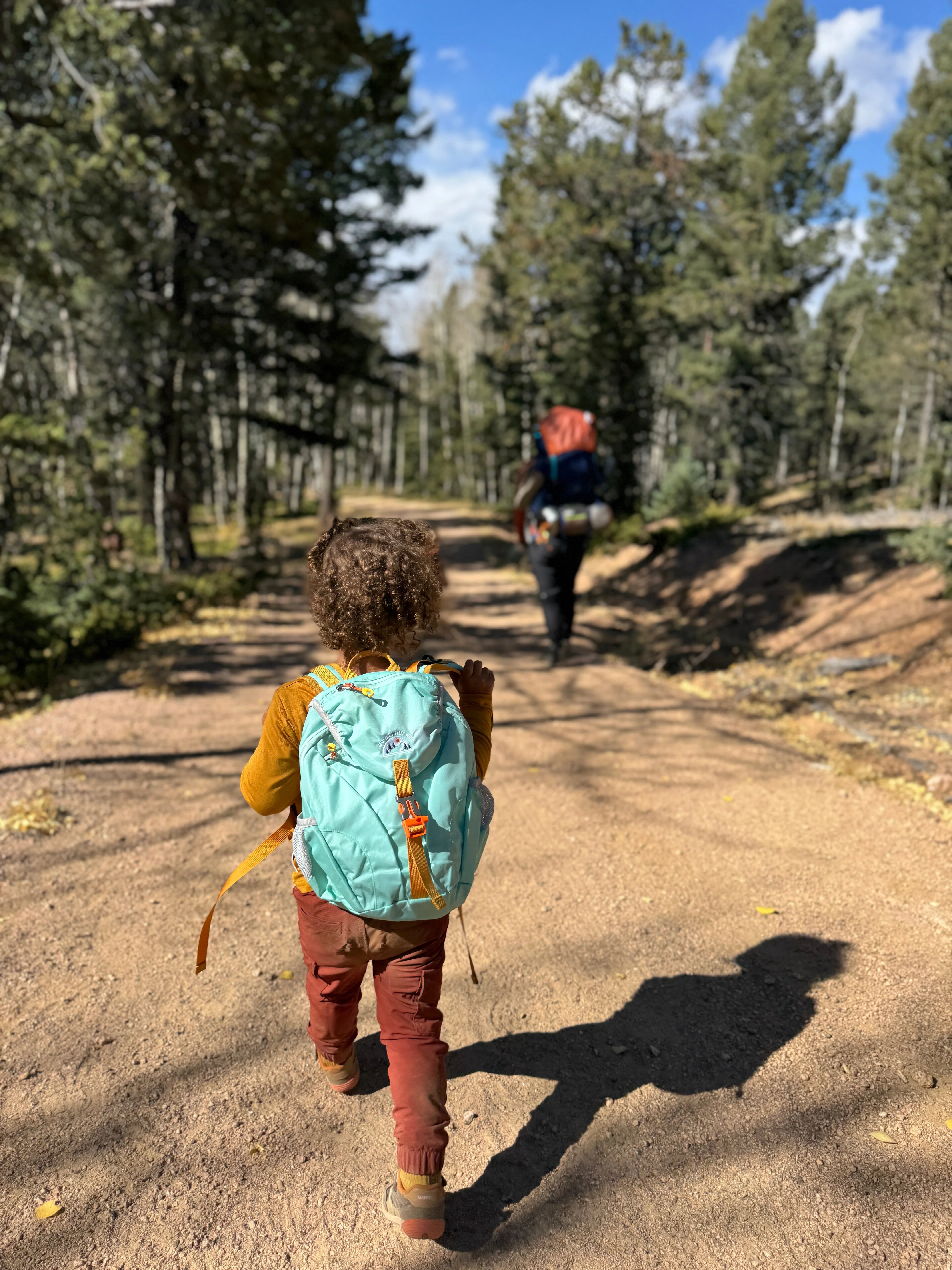 Keep the Littles Wild Kid’s (Ages 2 to 7) light blue Hiking Pack - Water Bladder System Compatible for Young Hikers - Image 2