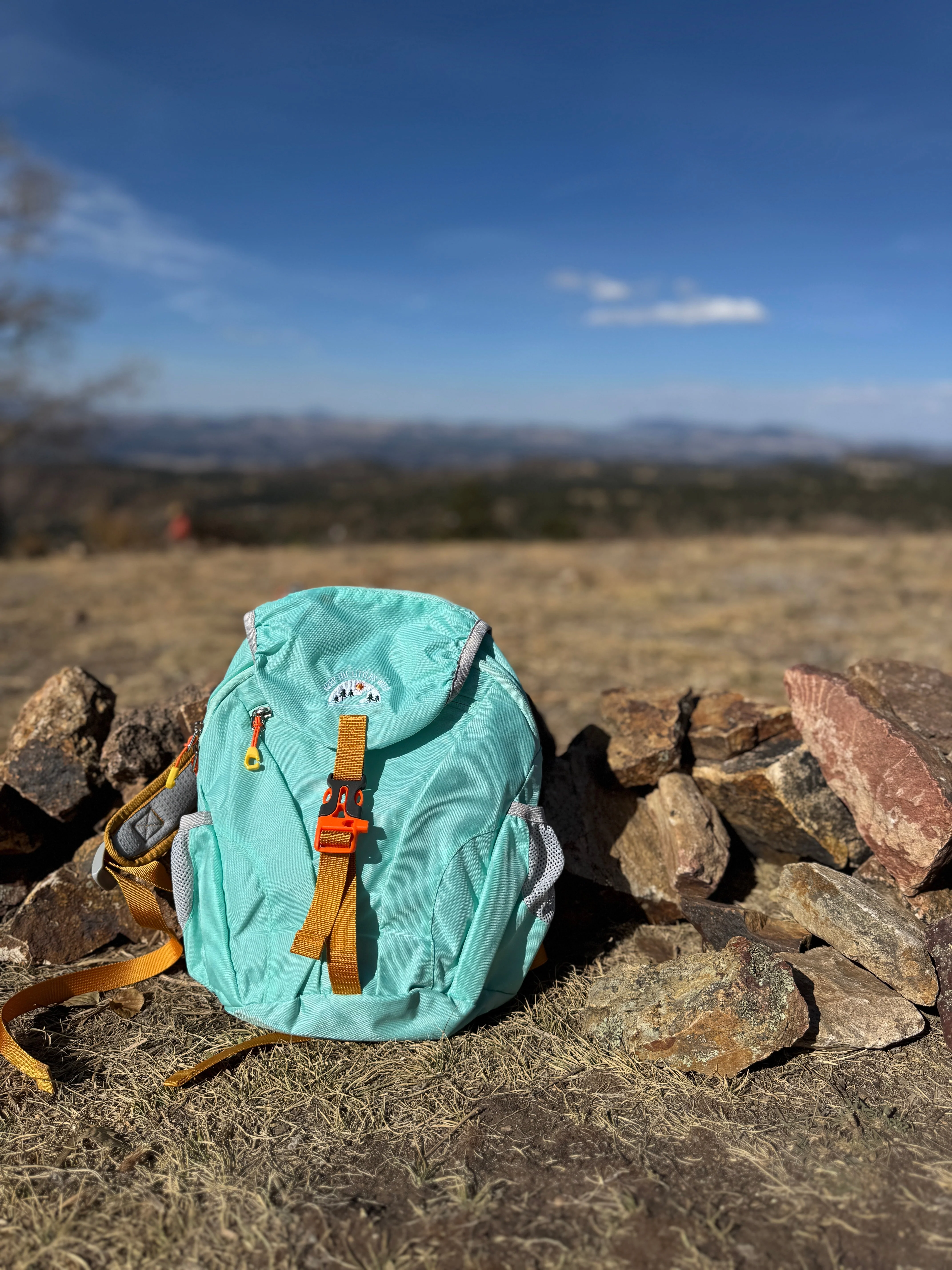 Keep the Littles Wild Kid’s (Ages 2 to 7) light blue Hiking Pack - Water Bladder System Compatible for Young Hikers - Image 3
