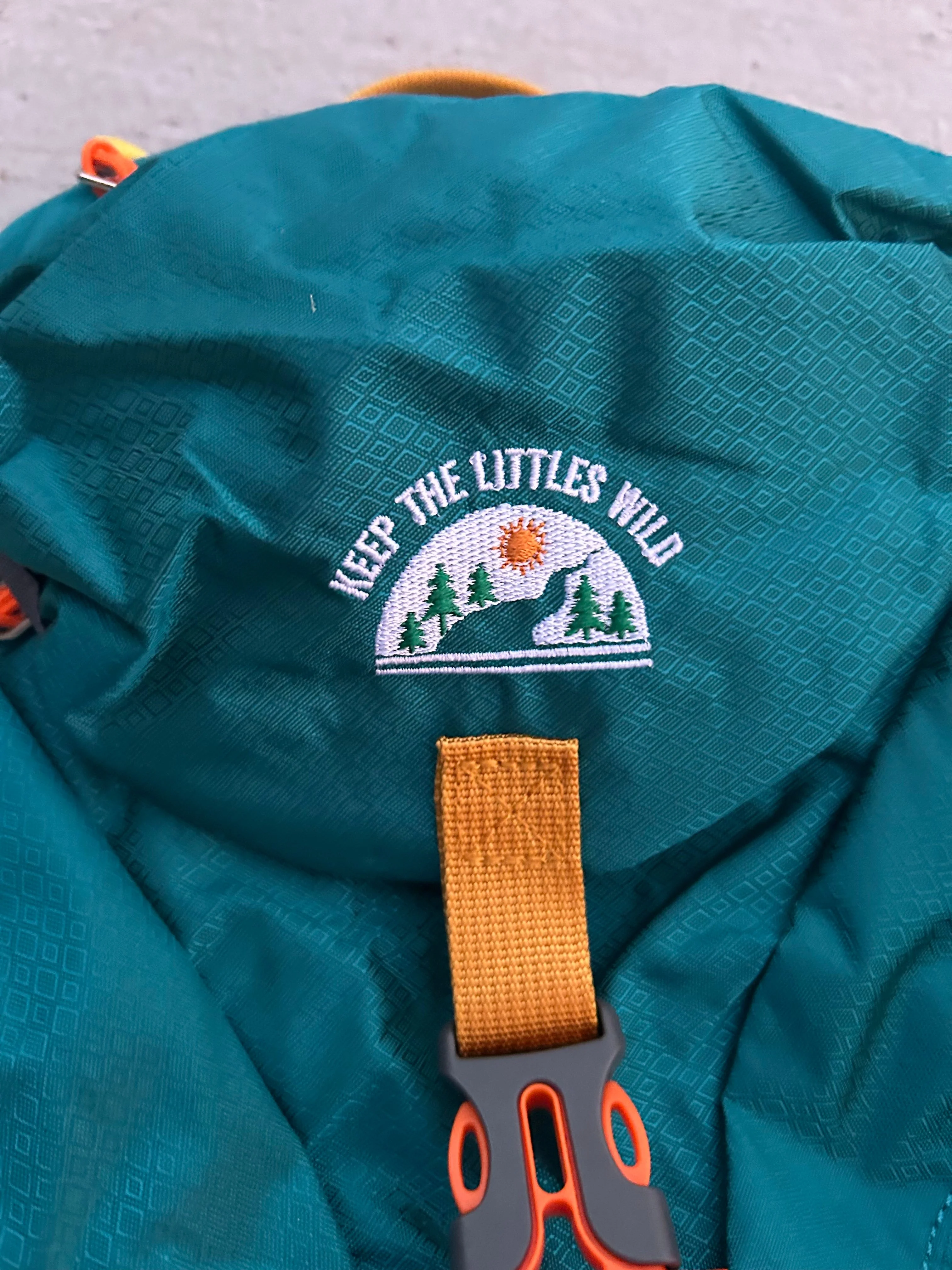 Keep the Littles Wild Kid’s (Ages 2 to 7) Teal Hiking Pack - Water Bladder Compatible Backpack for Young Hikers - Image 2
