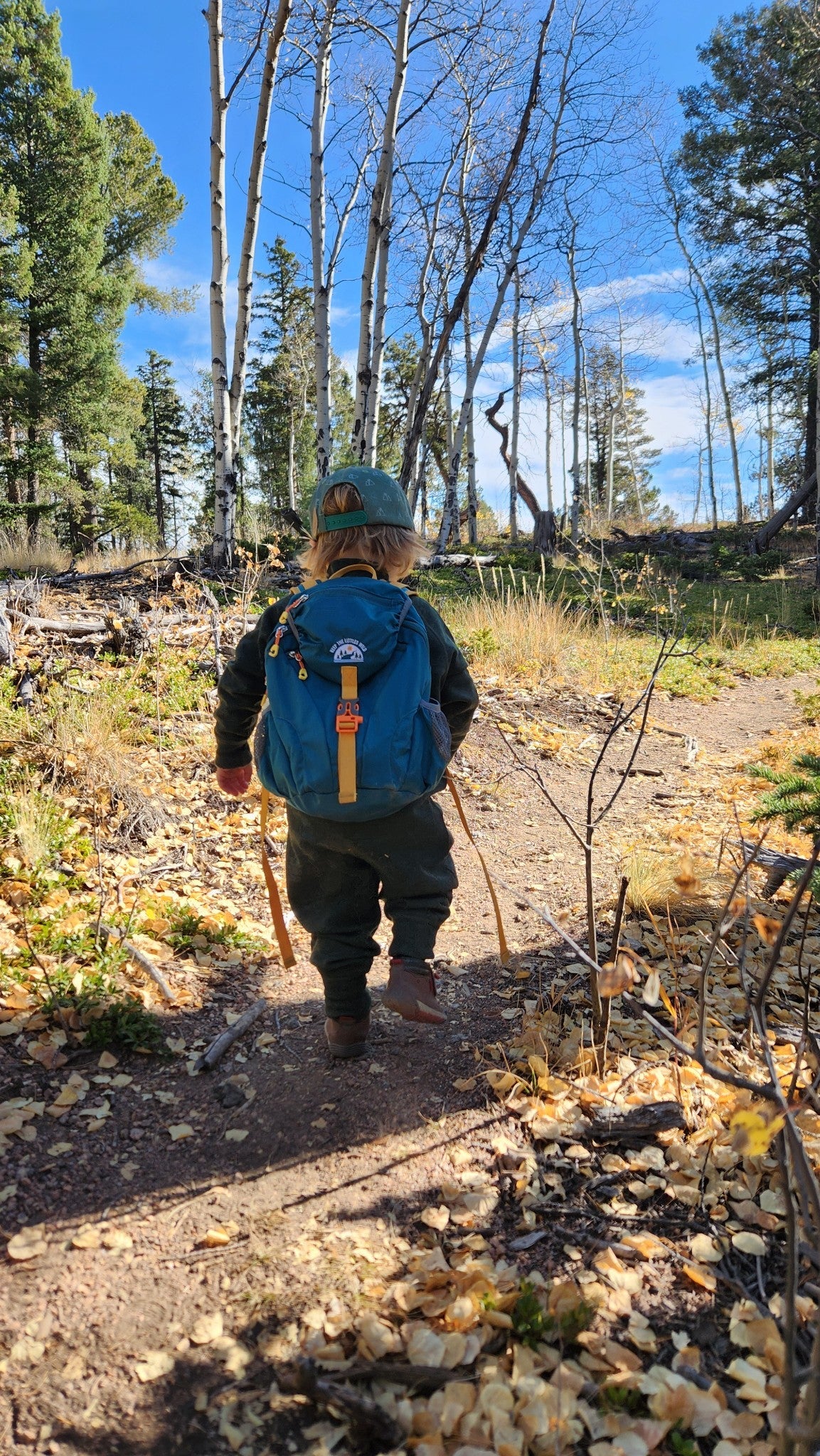 Keep the Littles Wild Kid’s (Ages 2 to 7) Teal Hiking Pack - Water Bladder Compatible Backpack for Young Hikers - Image 6