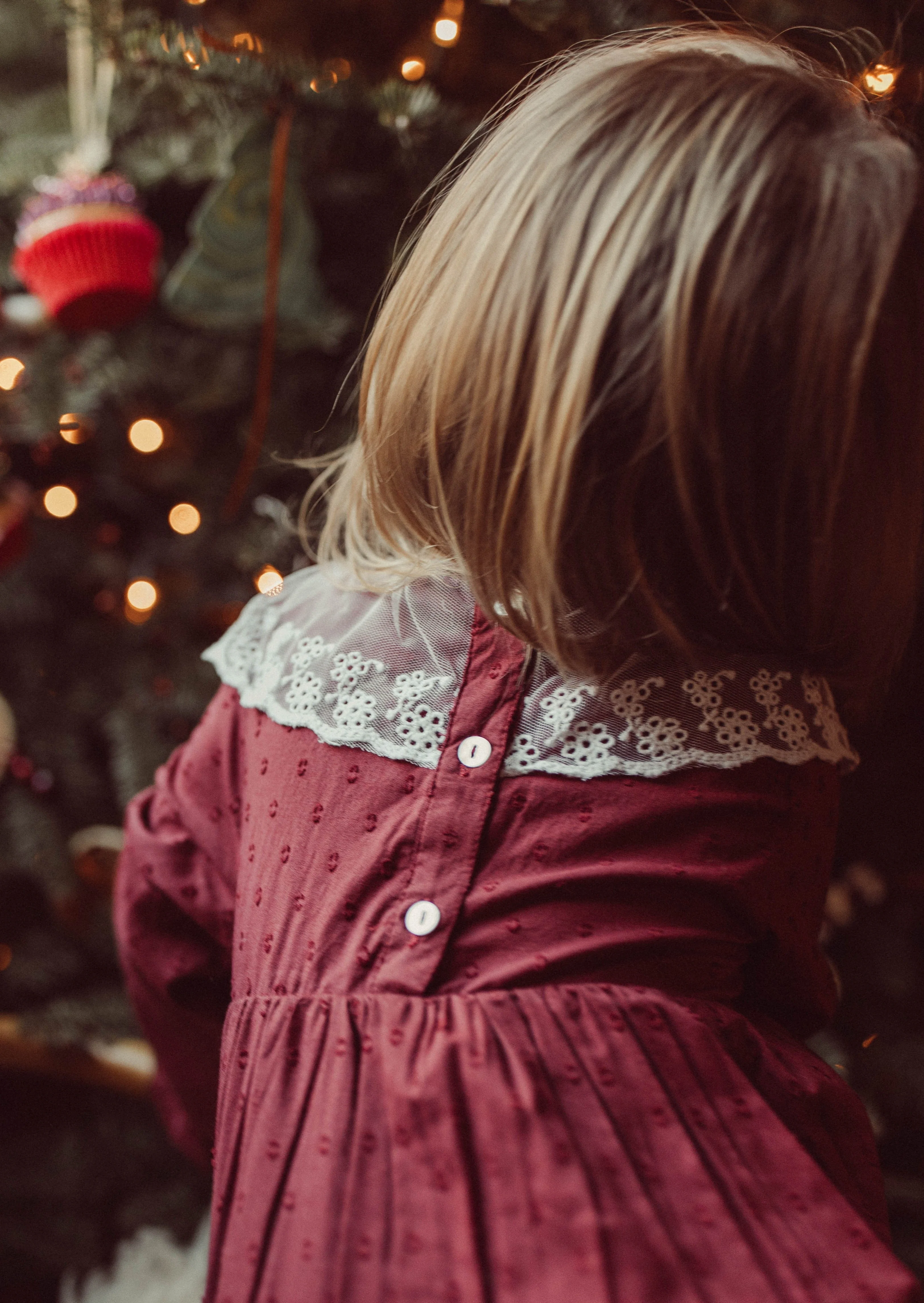 La Petit Lapin Harper | Swiss Dot Cotton Lace Dress | Merlot - Image 5
