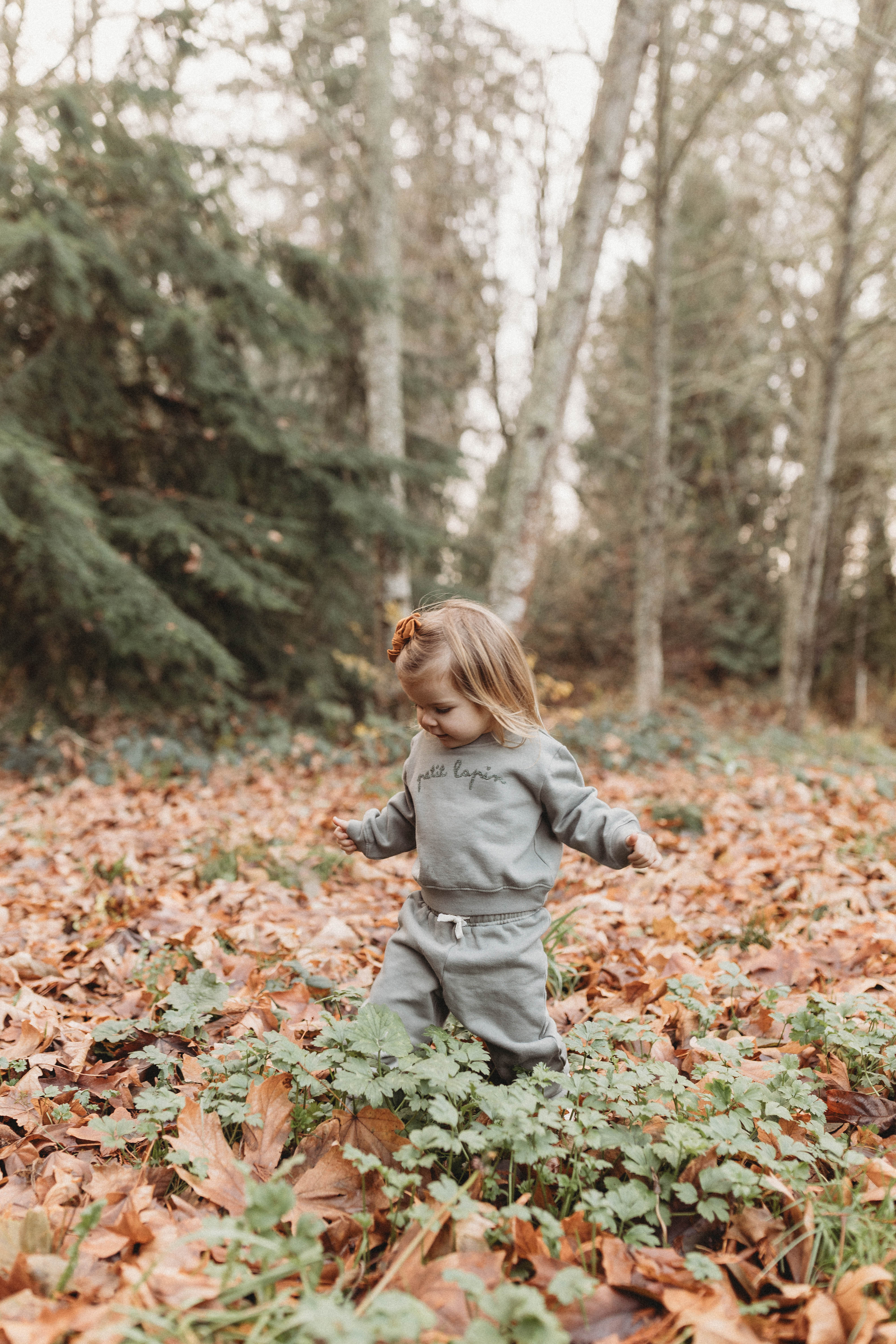 La Petit Lapin Finley | Cotton Fleece Sweatsuit Set | Petit Lapin | Mulled Basil - Image 7