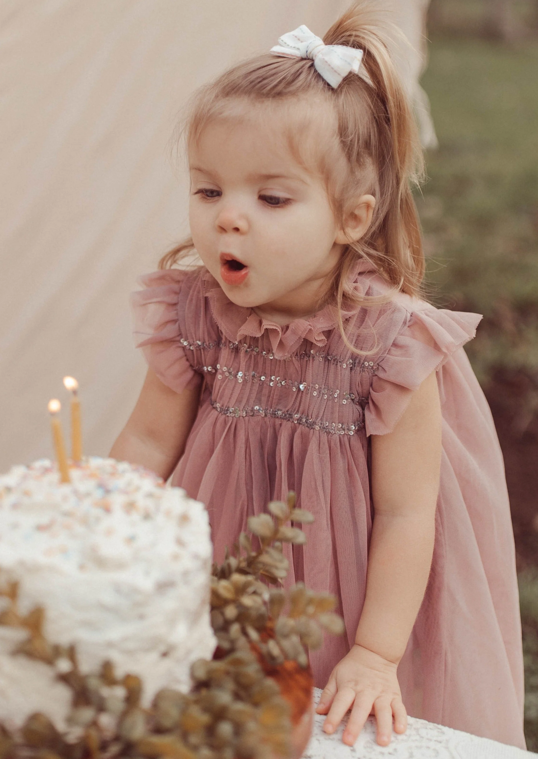 Le Petit Lapin Scarlett | Cotton Tulle Dress | Tosca - Image 10