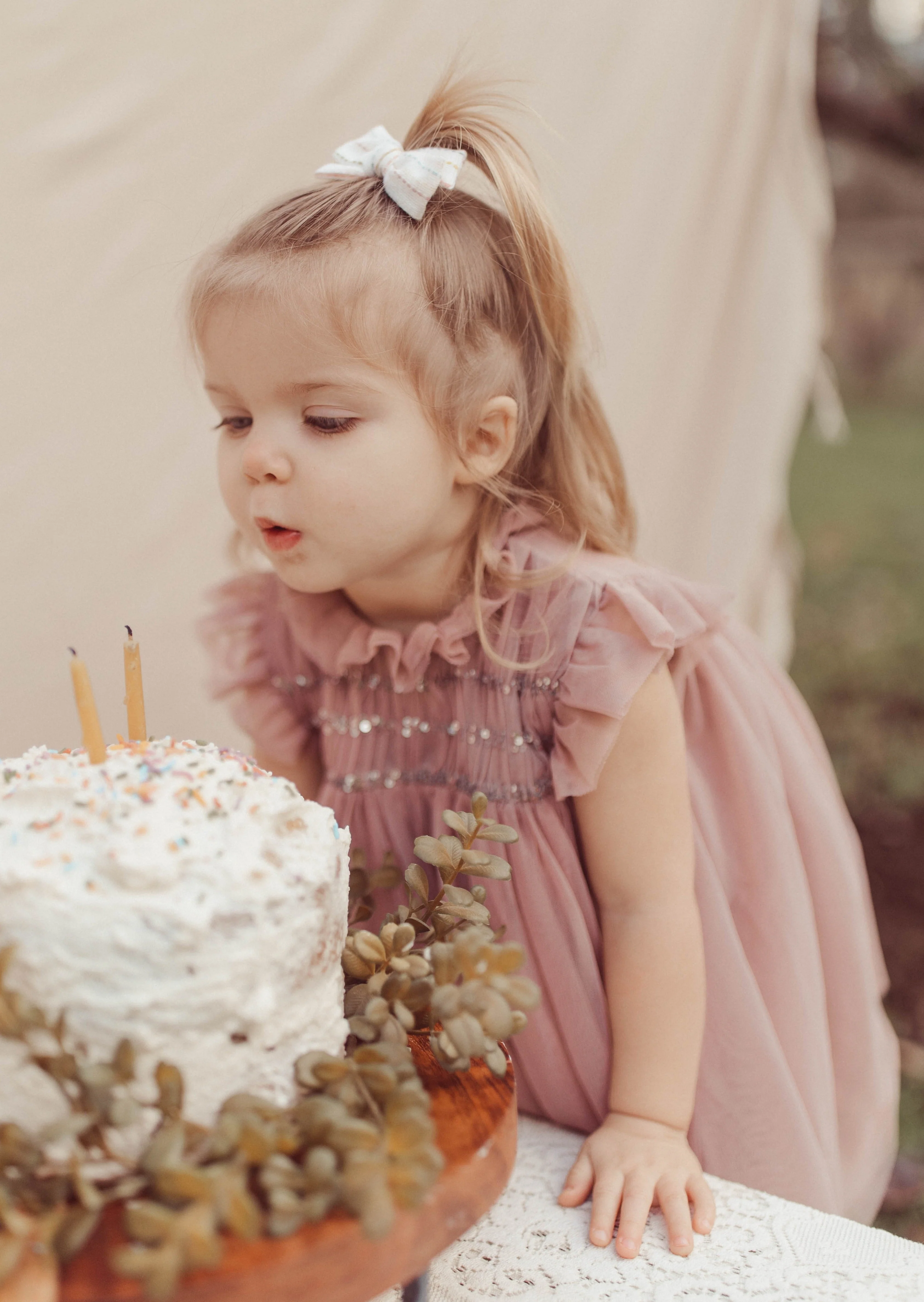 Le Petit Lapin Scarlett | Cotton Tulle Dress | Tosca - Image 14