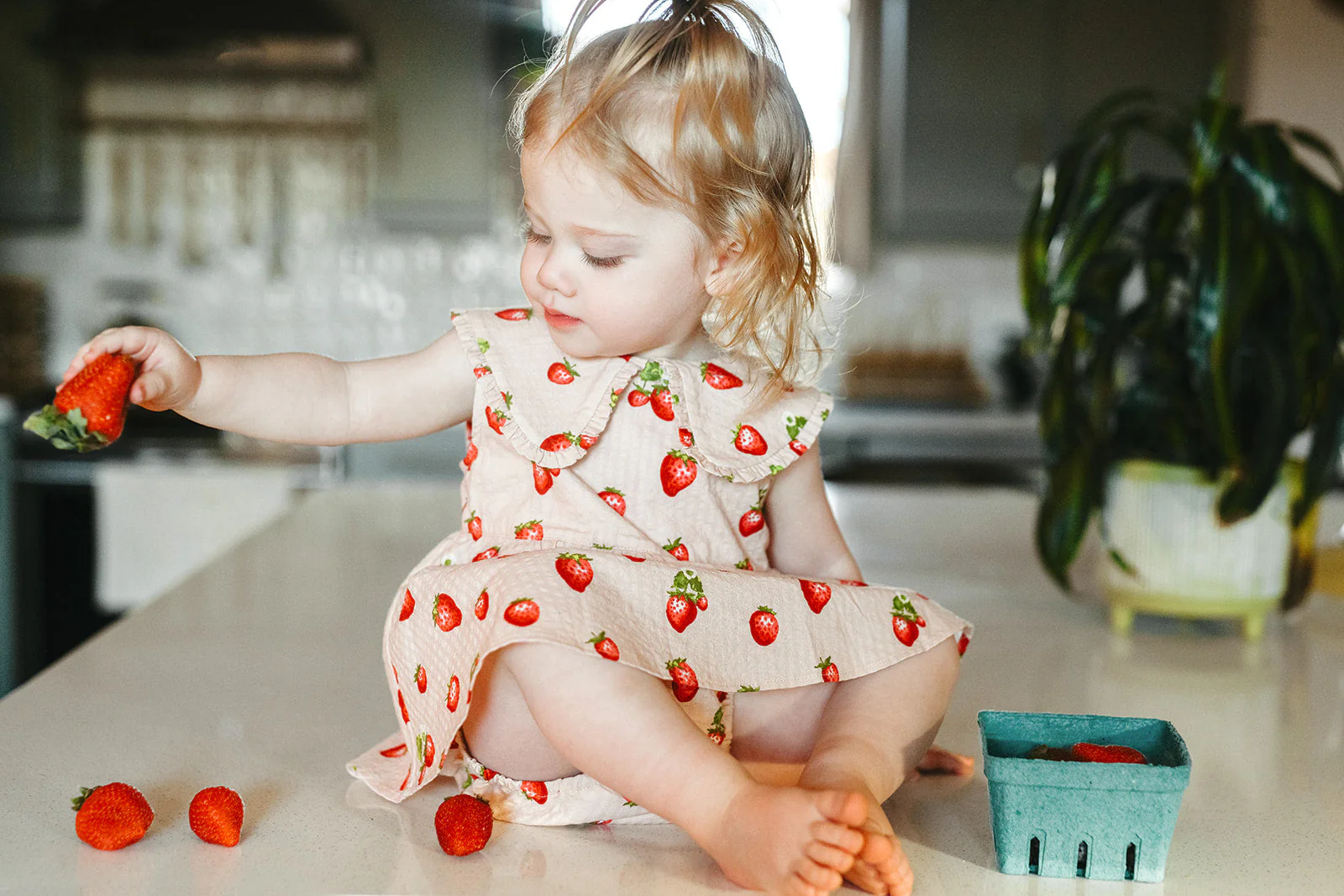 Milkbarn Strawberry Ruffle Collar Dress - Image 11