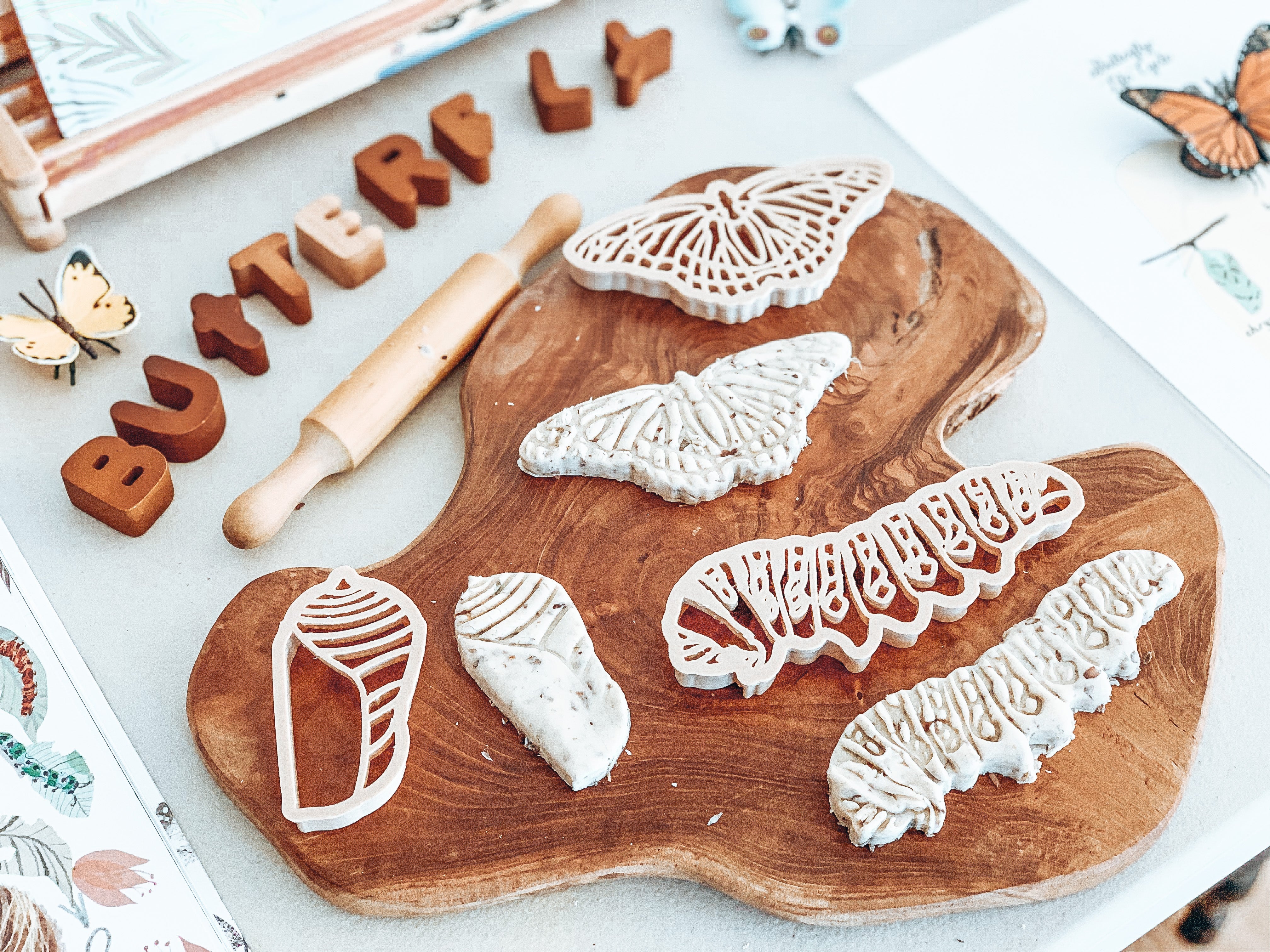 Monarch Butterfly Lifecycle Eco Cutter Set (3 Pieces) - Image 3