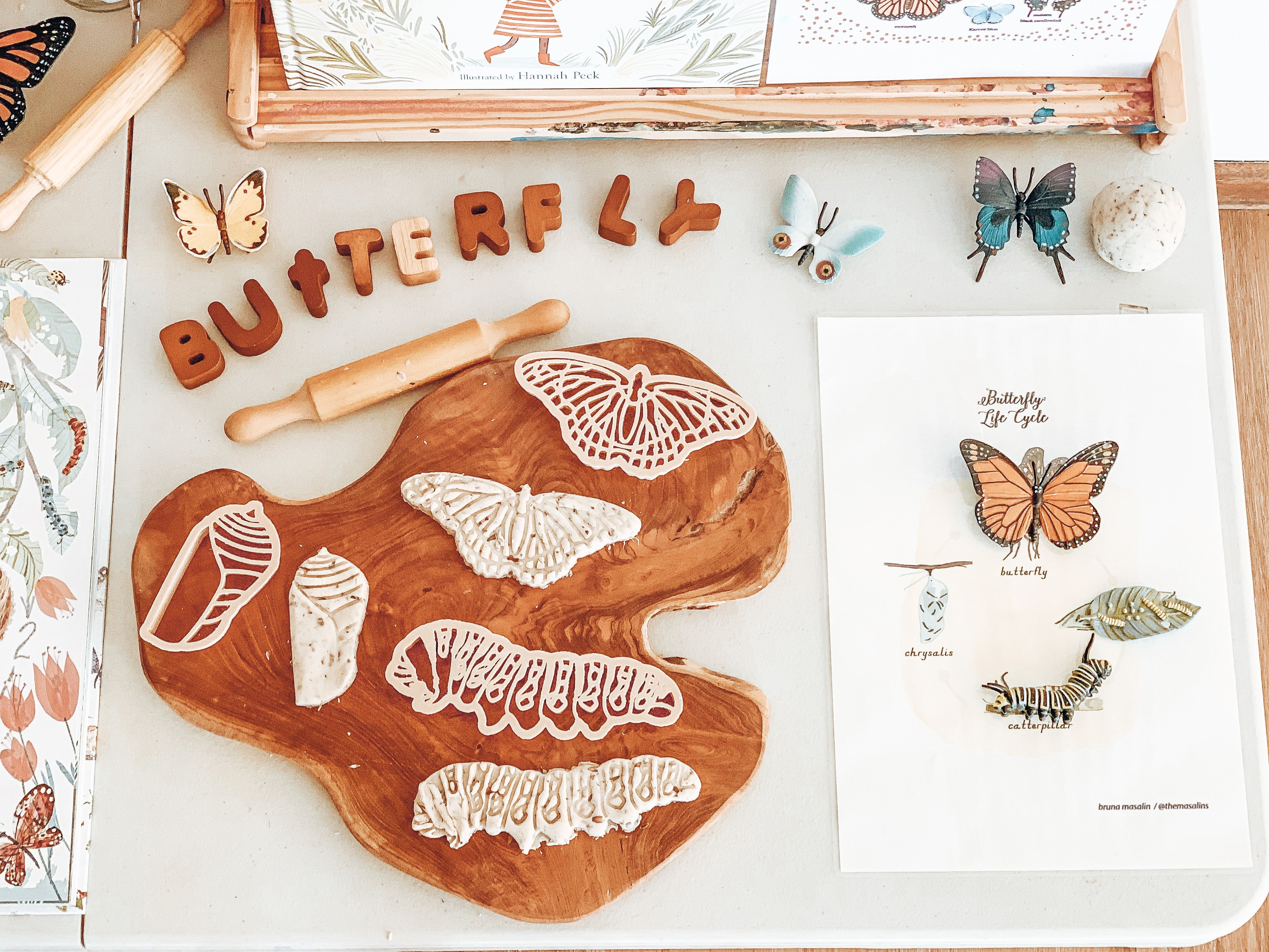 Monarch Butterfly Lifecycle Eco Cutter Set (3 Pieces) - Image 4