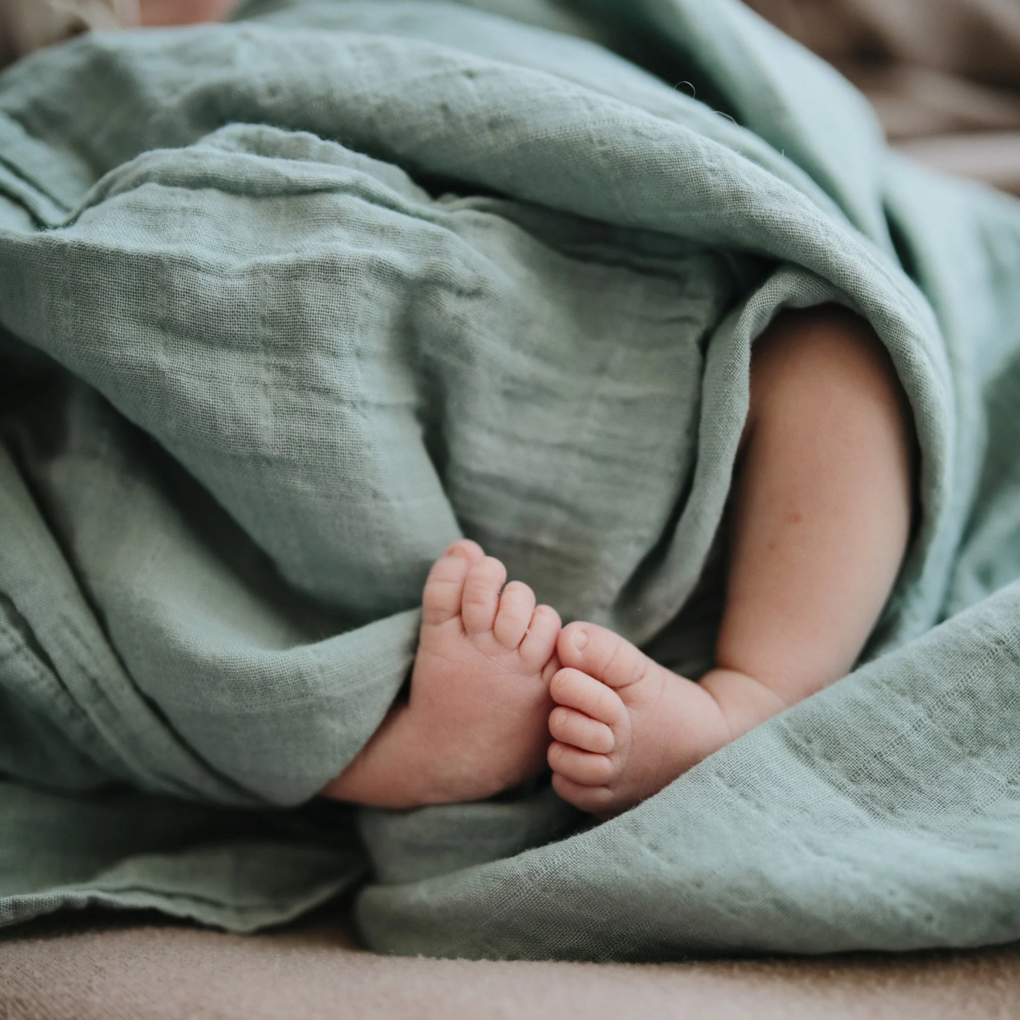 Mushie Organic Cotton Muslin Swaddle Blanket - Image 115