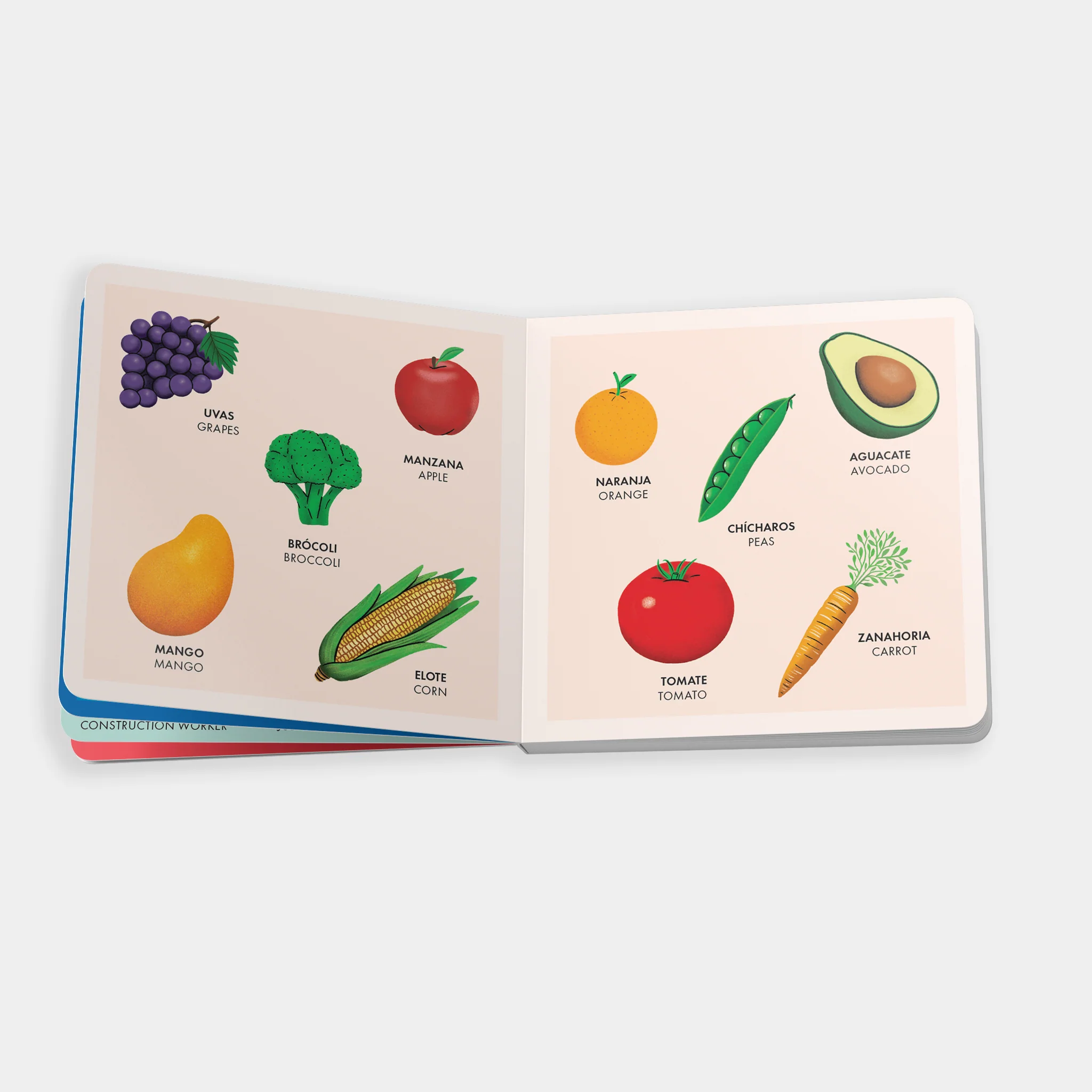 My Big Bilingual Book of First Words - Image 3