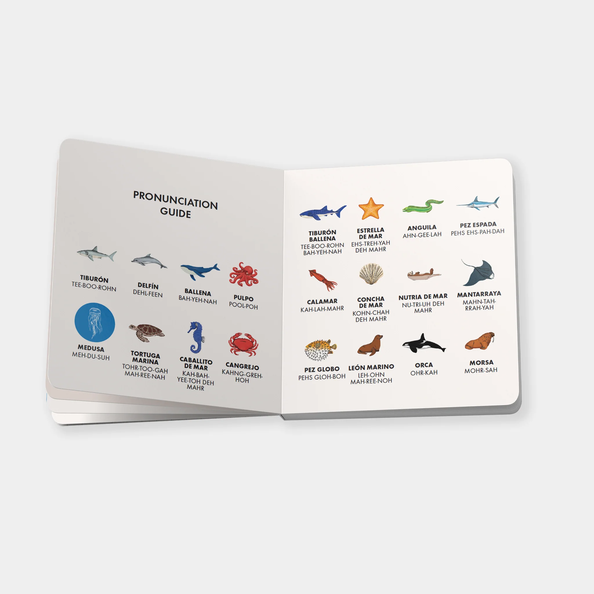 My First Bilingual Library - Image 6