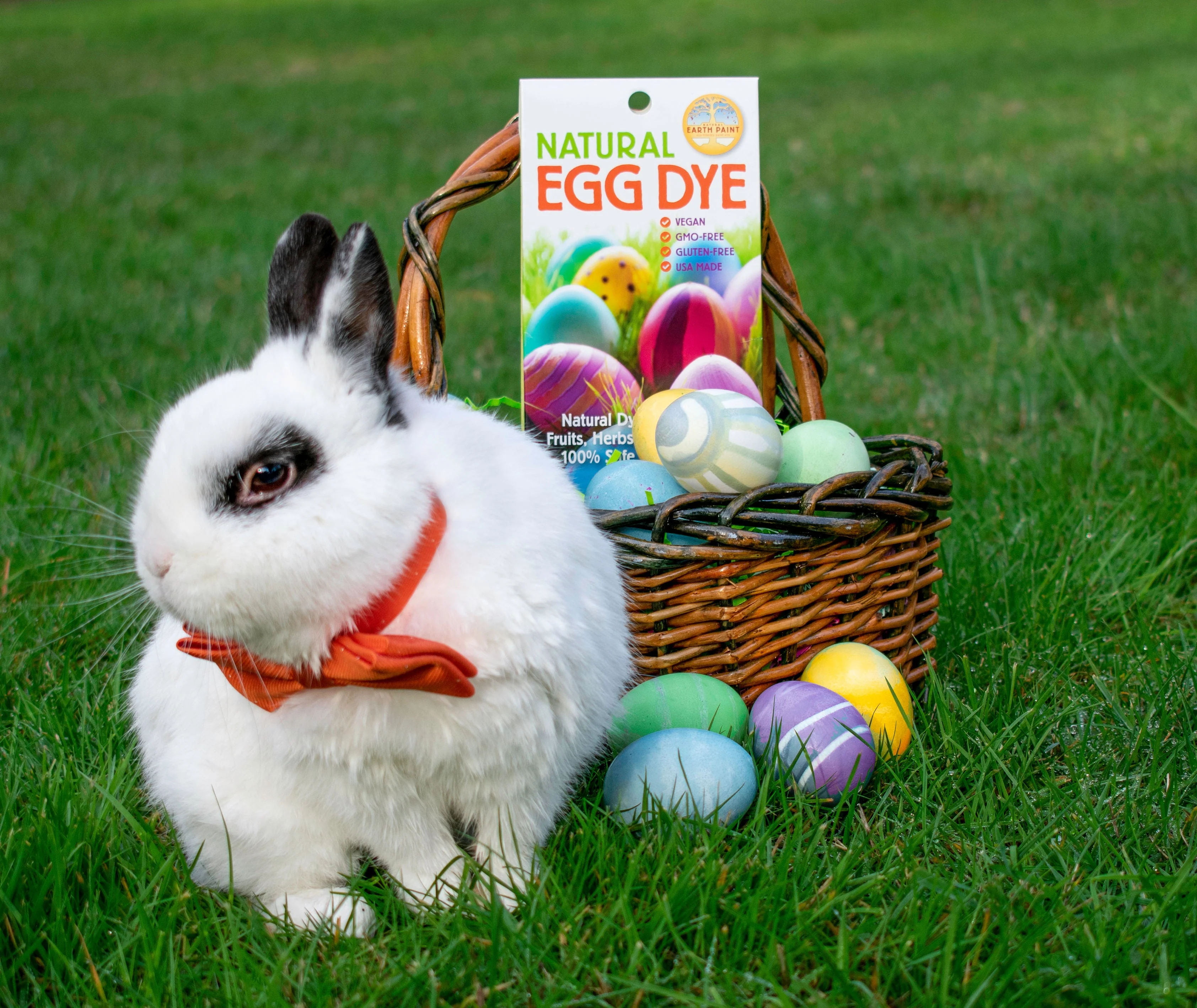 Natural Earth Paint Natural Egg Dye Kit - Image 8