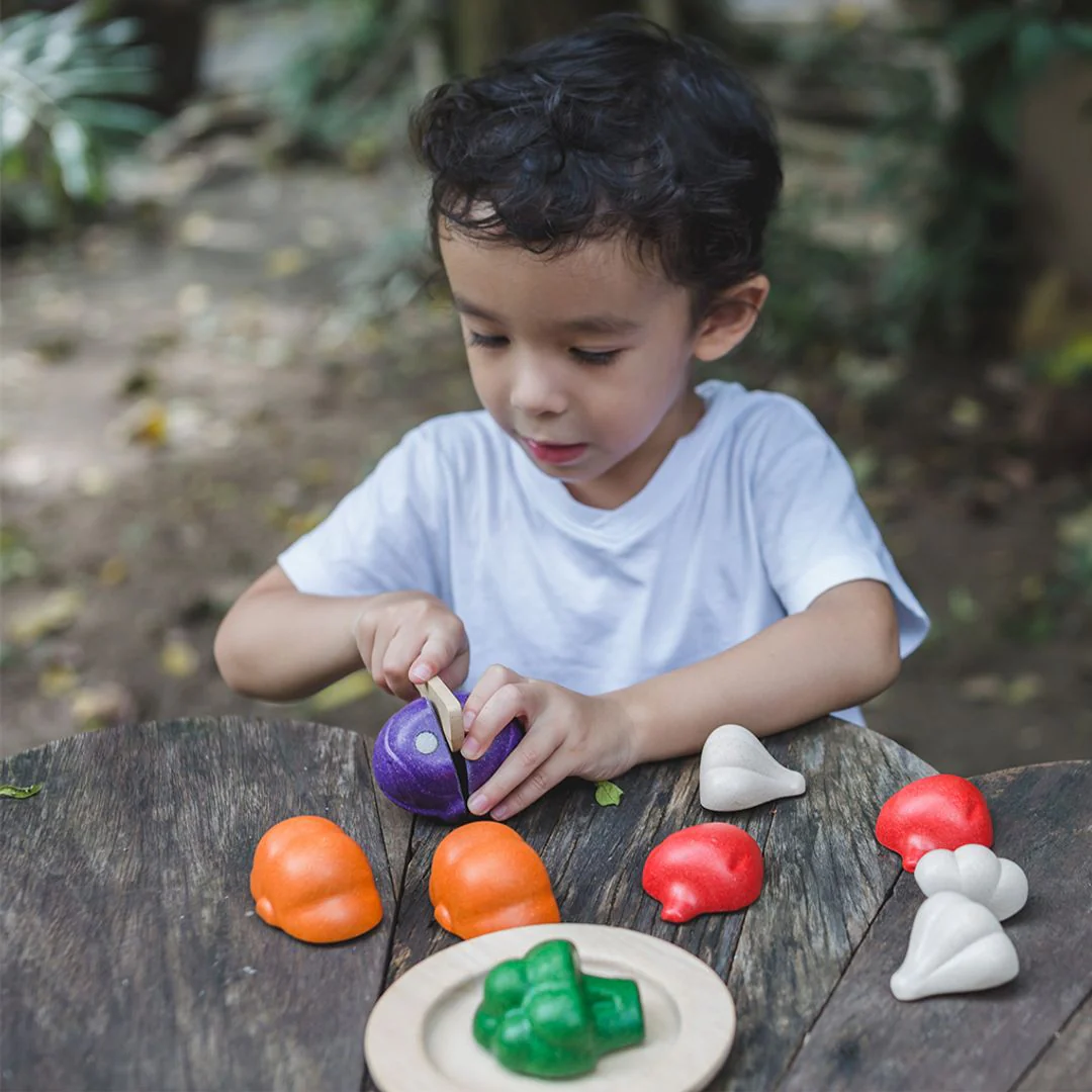 PlanToys 5 Colors Veggie Set - Image 3