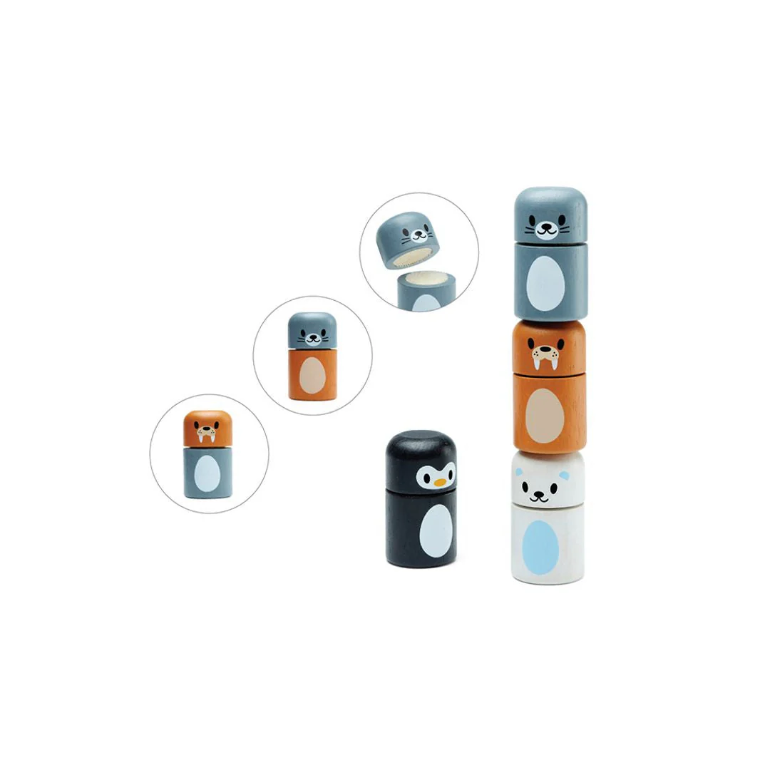PlanToys Arctic Animal Matching - Image 11