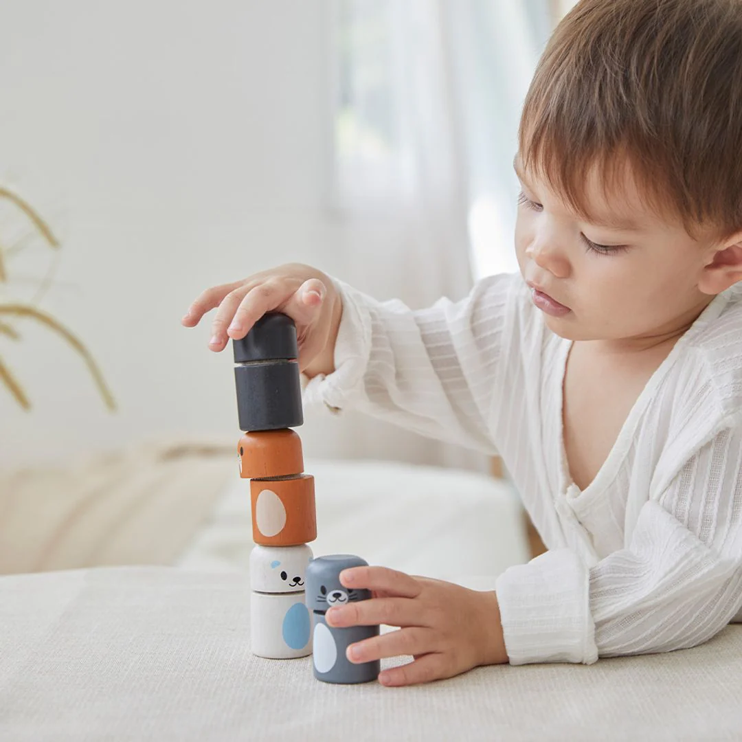 PlanToys Arctic Animal Matching - Image 3