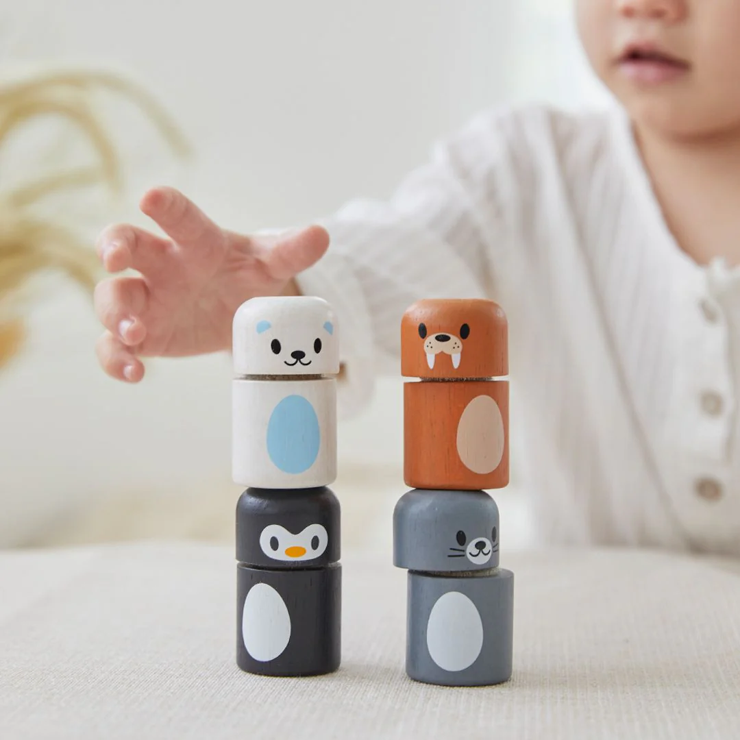 PlanToys Arctic Animal Matching - Image 4