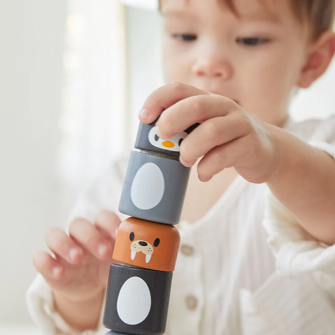 PlanToys Arctic Animal Matching - Image 8