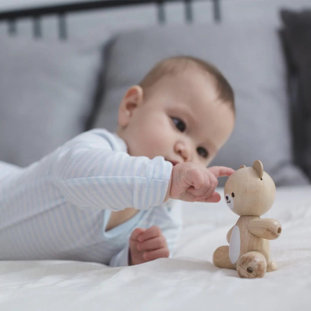 PlanToys Bear - Image 6