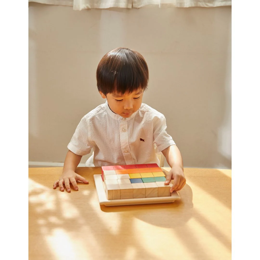 PlanToys Colored Counting Blocks - Unit Plus - Image 5