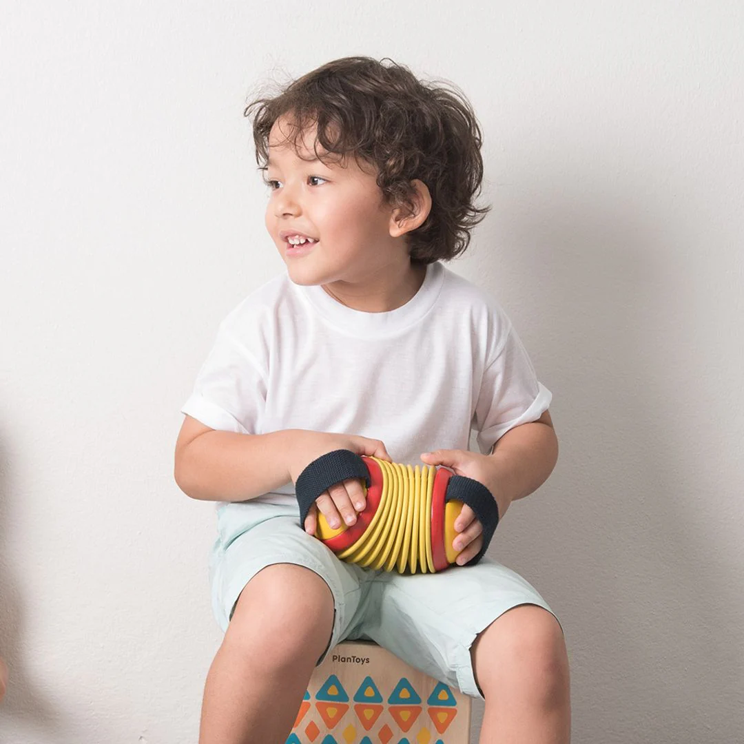 PlanToys Concertina - Image 3
