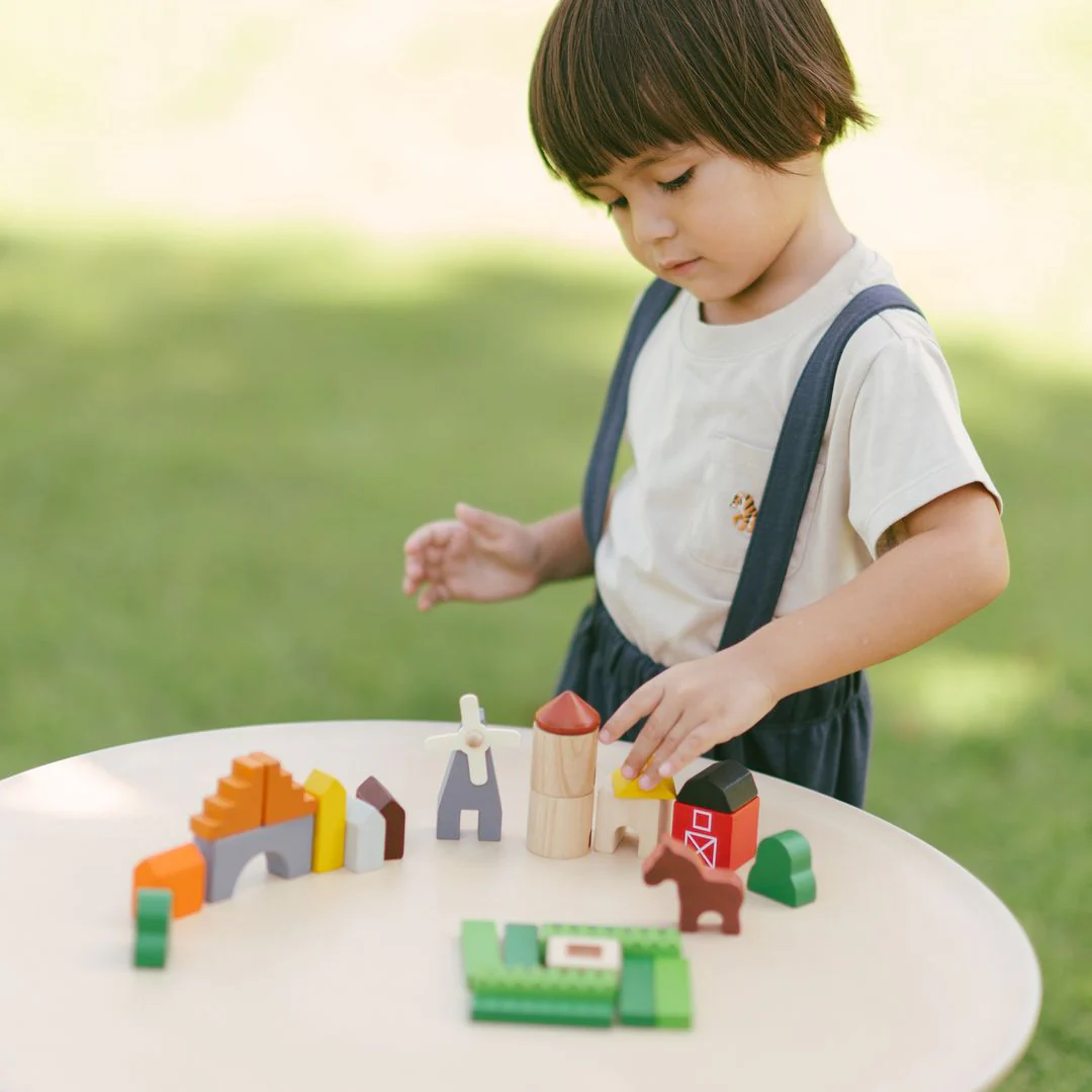 PlanToys Country Blocks - Image 2